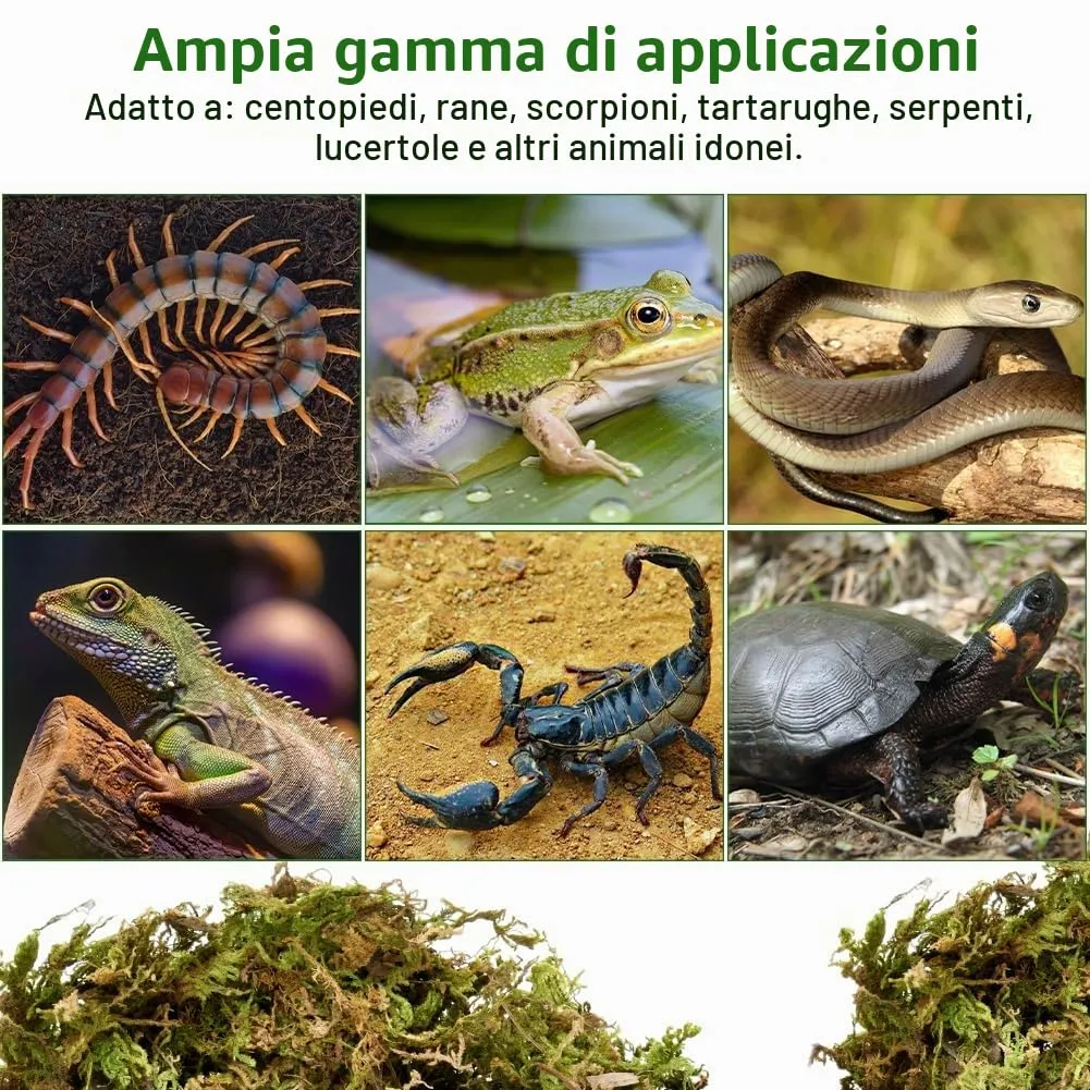 OFFCUP Muschio di Sfagno per Piante e Rettili, 300g - immagine 7