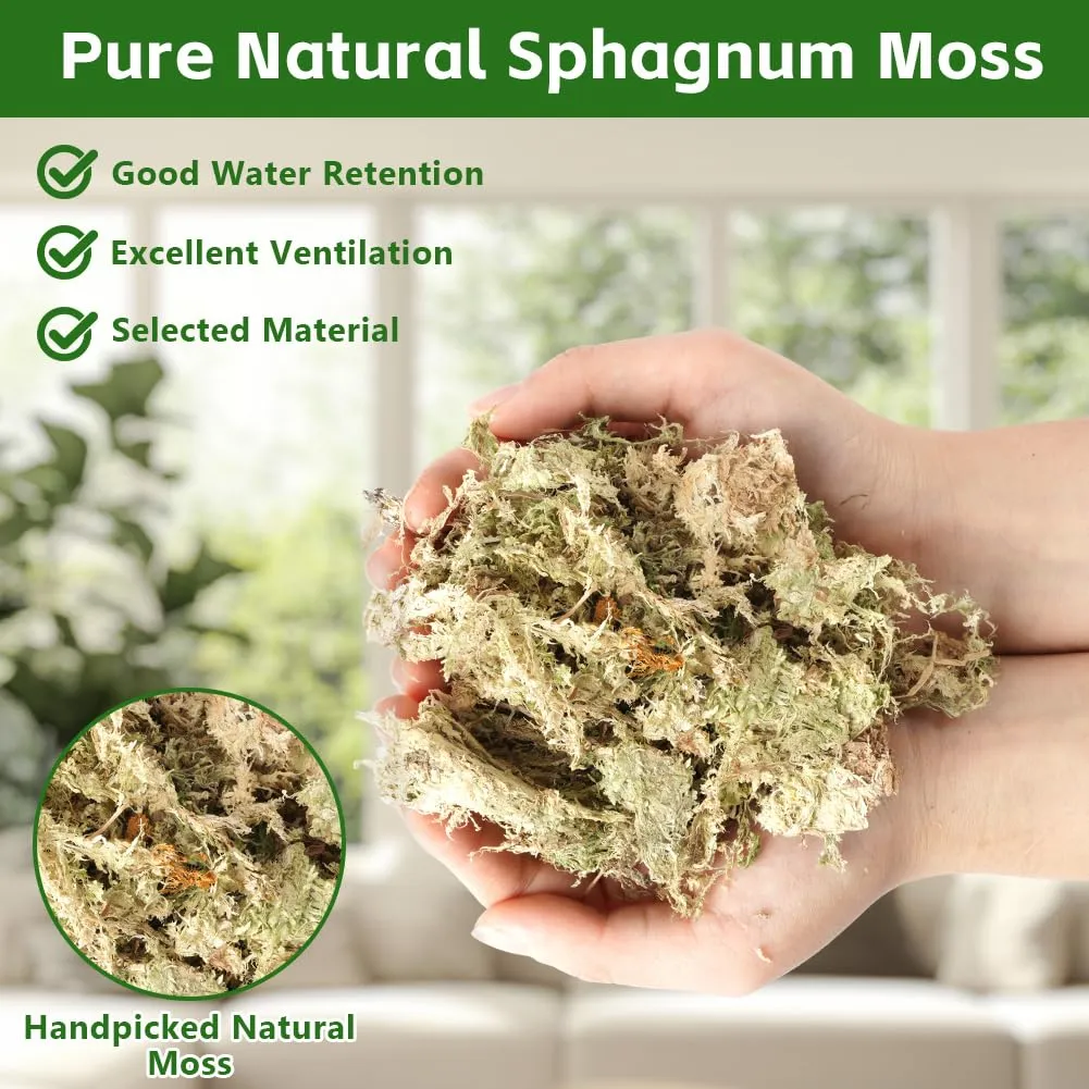 OFFCUP Sfagno per Piante e Rettili, Muschio Sphagnum 500g - immagine 5
