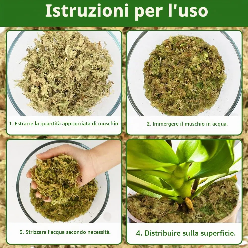 OFFCUP Sfagno per Piante e Rettili, Muschio Sphagnum 500g - immagine 6