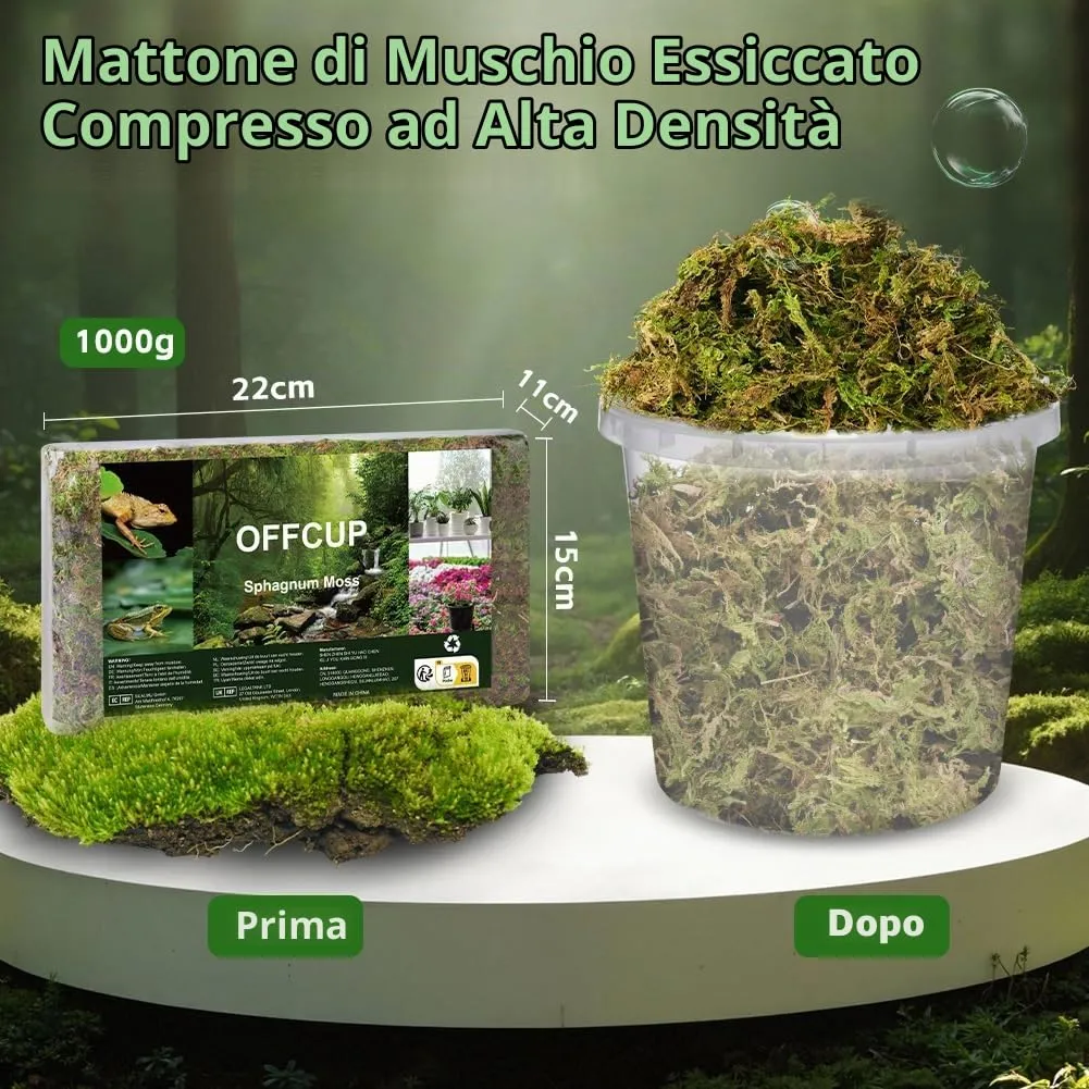 OFFCUP Sfagno per Piante e Rettili, Muschio di Sphagnum 1000g - immagine 2