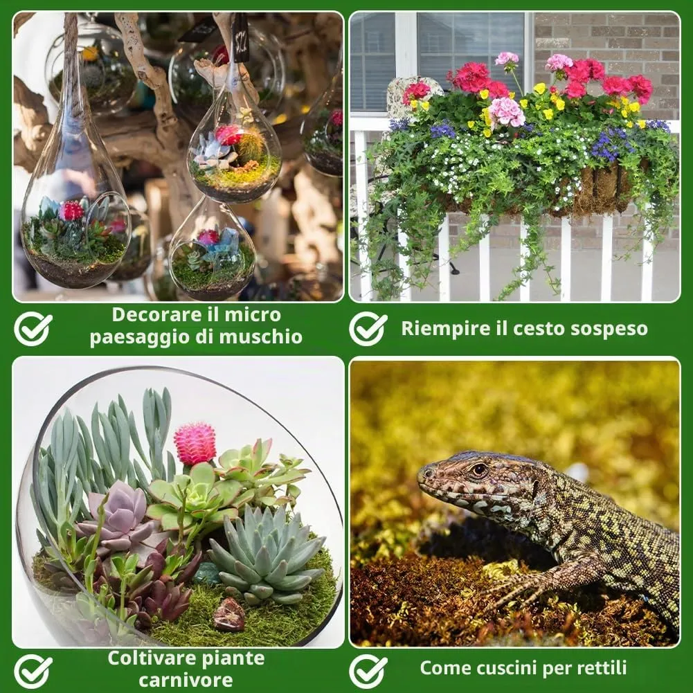 OFFCUP Sfagno per Piante e Rettili, Muschio di Sphagnum 1000g - immagine 4