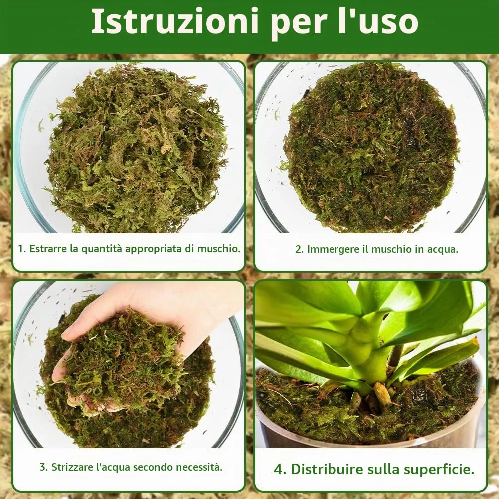 OFFCUP Sfagno per Piante e Rettili, Muschio di Sphagnum 1000g - immagine 6
