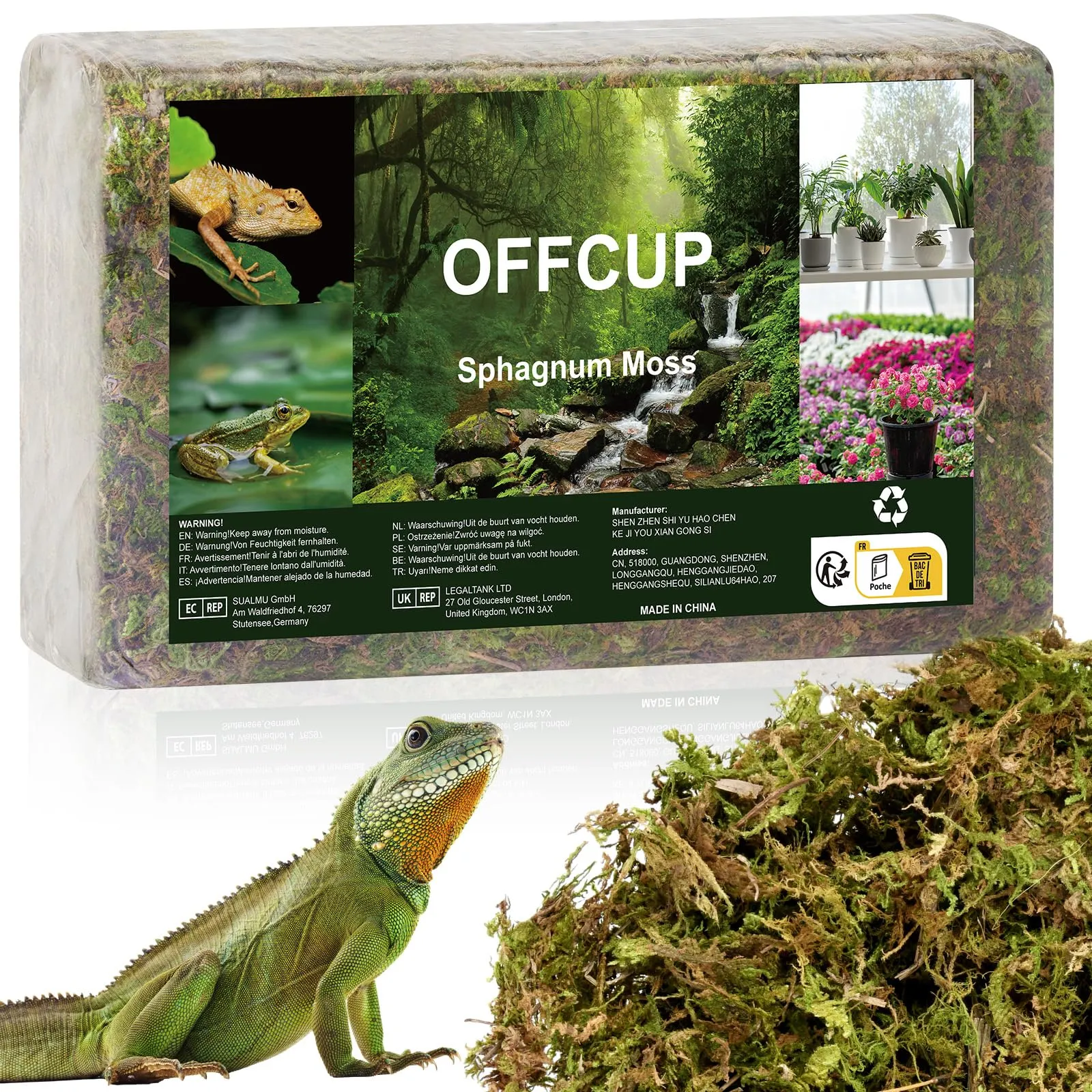 OFFCUP Muschio di Sfagno per Piante e Rettili, 500g - immagine 1