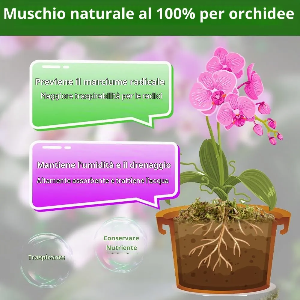 OFFCUP Muschio di Sfagno per Piante e Rettili, 500g - immagine 3