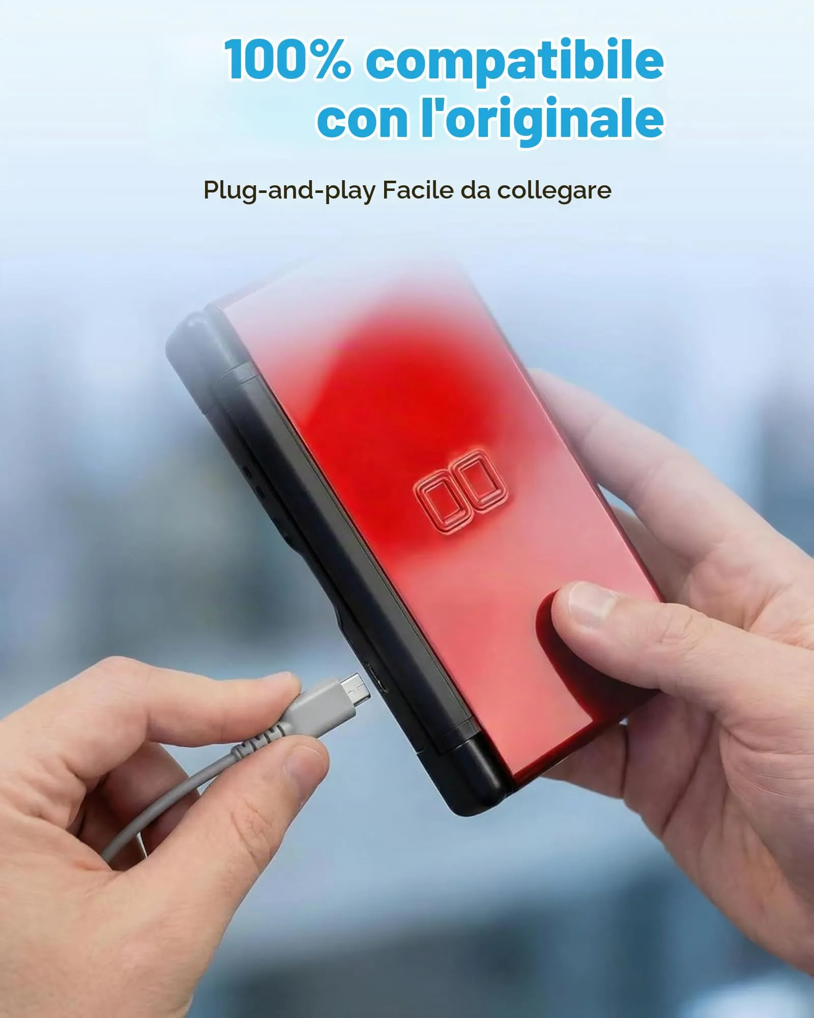 FLLAGG20 Caricabatterie compatibile con Nintendo DS Lite, Grigio (2 Pezzi) - immagine 3