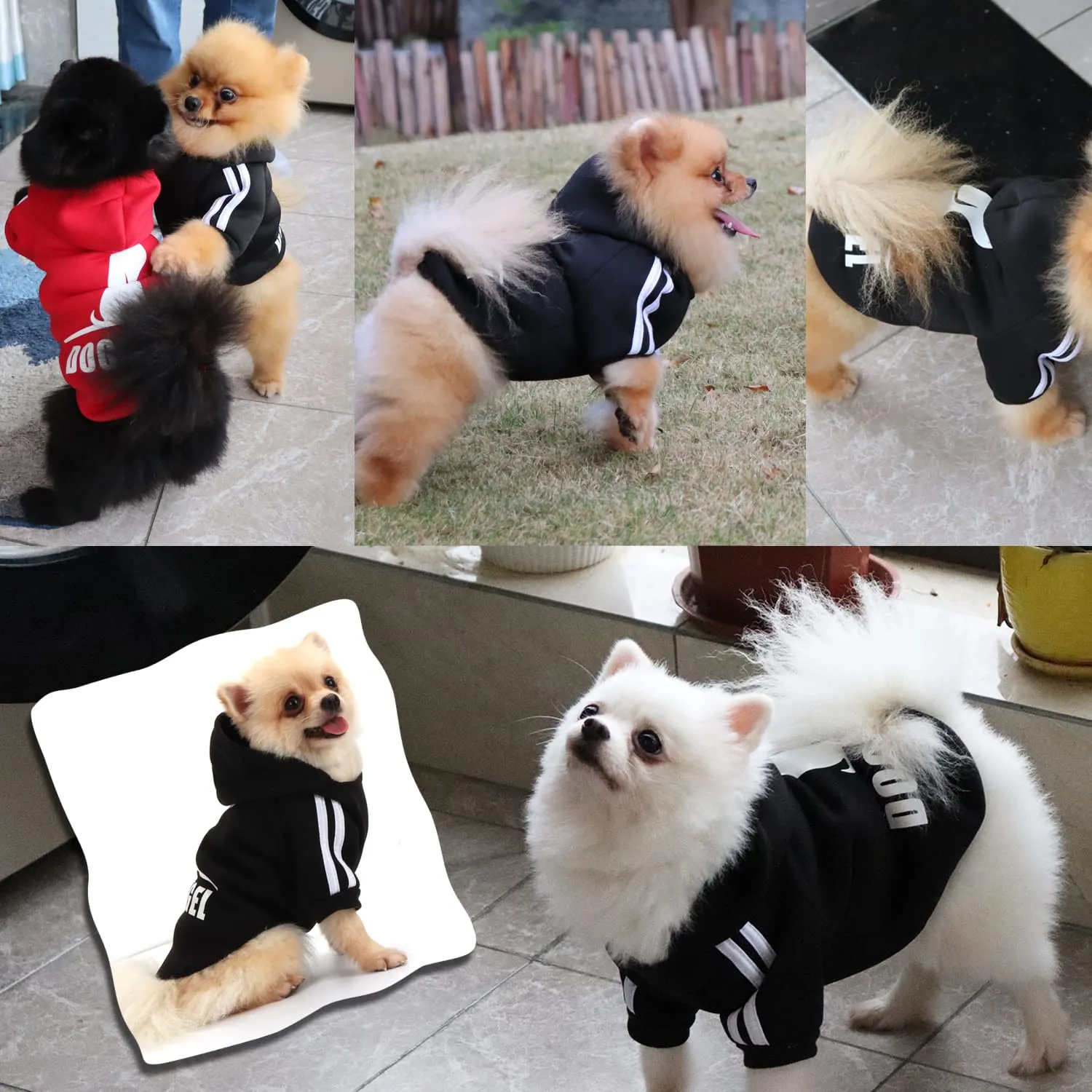 QiCheng&LYS Dog Hoodie Winter Coat, Nero, S - immagine 2