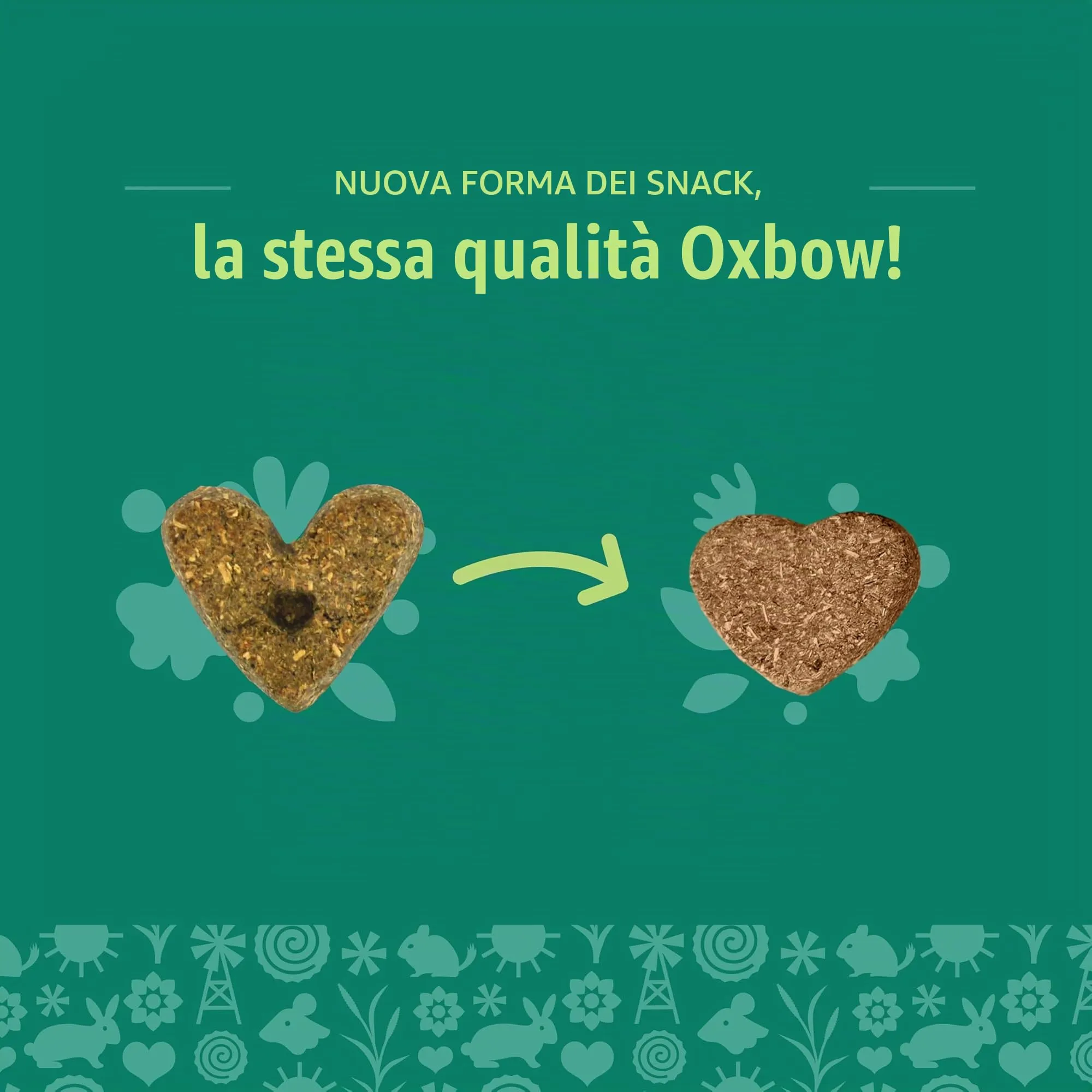 Oxbow Animal Health Simple Rewards Veggie Treats, 85 g - immagine 7