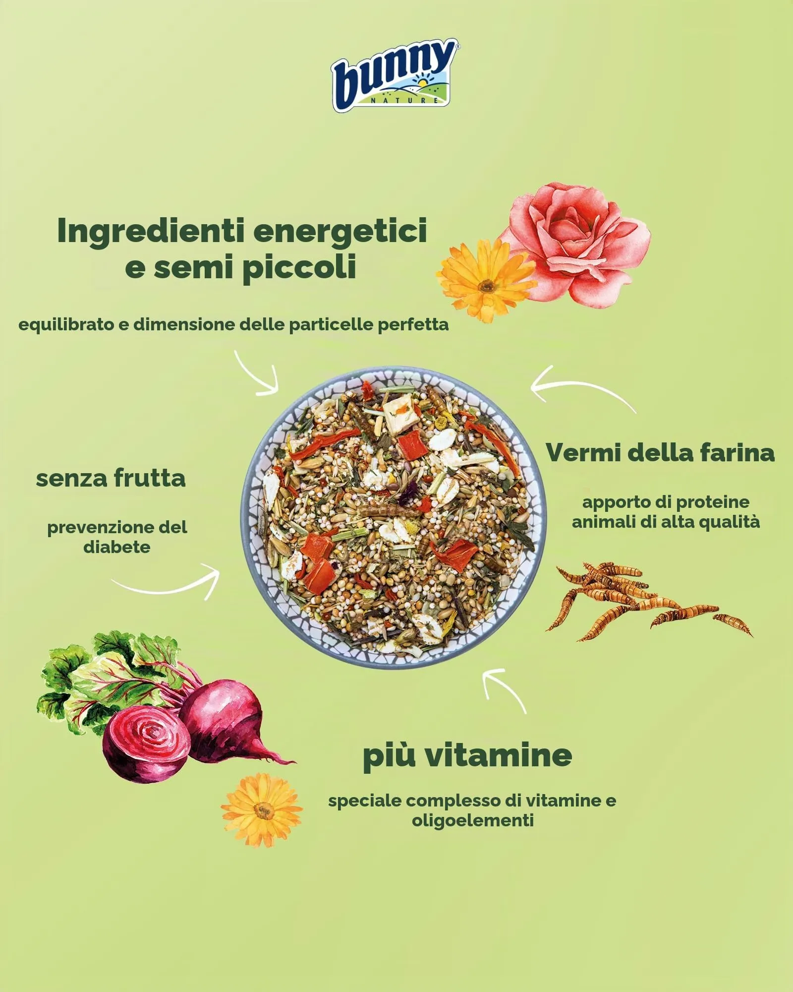 Bunny Nature Mangime Completo per Criceti Nani, Mix di Vitamine e Vermi di Farina, 500 g - immagine 3