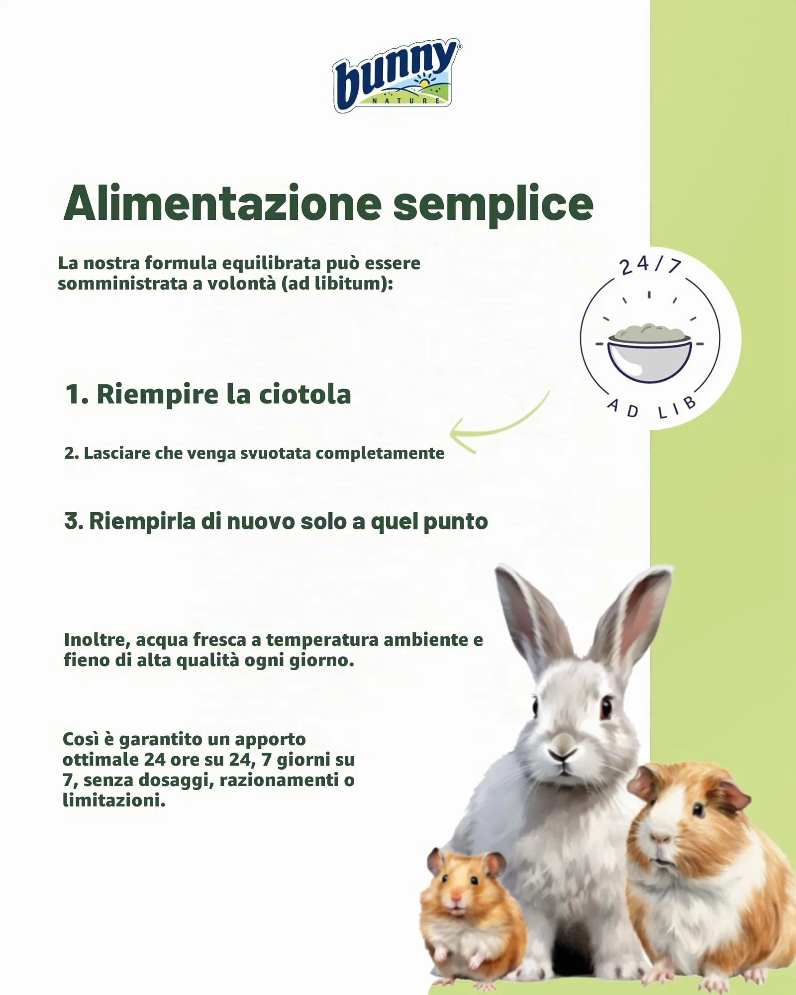 Bunny Nature Mangime Completo per Criceti Nani, Mix di Vitamine e Vermi di Farina, 500 g - immagine 4