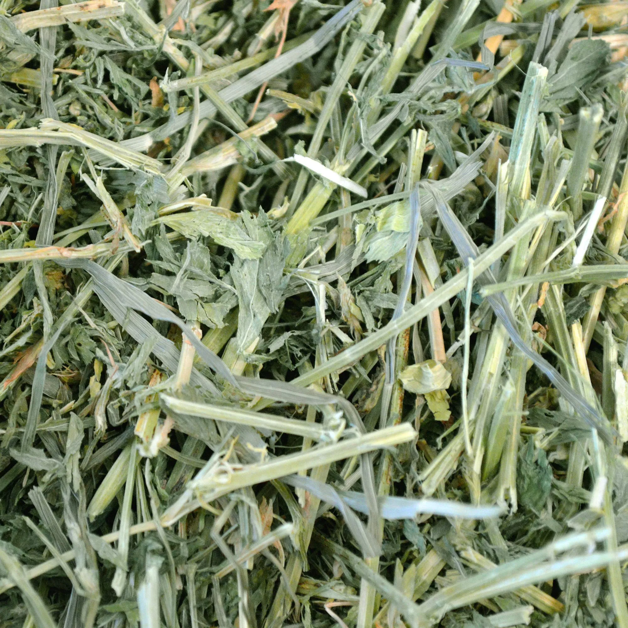 Oxbow Animal Health Fieno Alfalfa, 1130 g - immagine 5