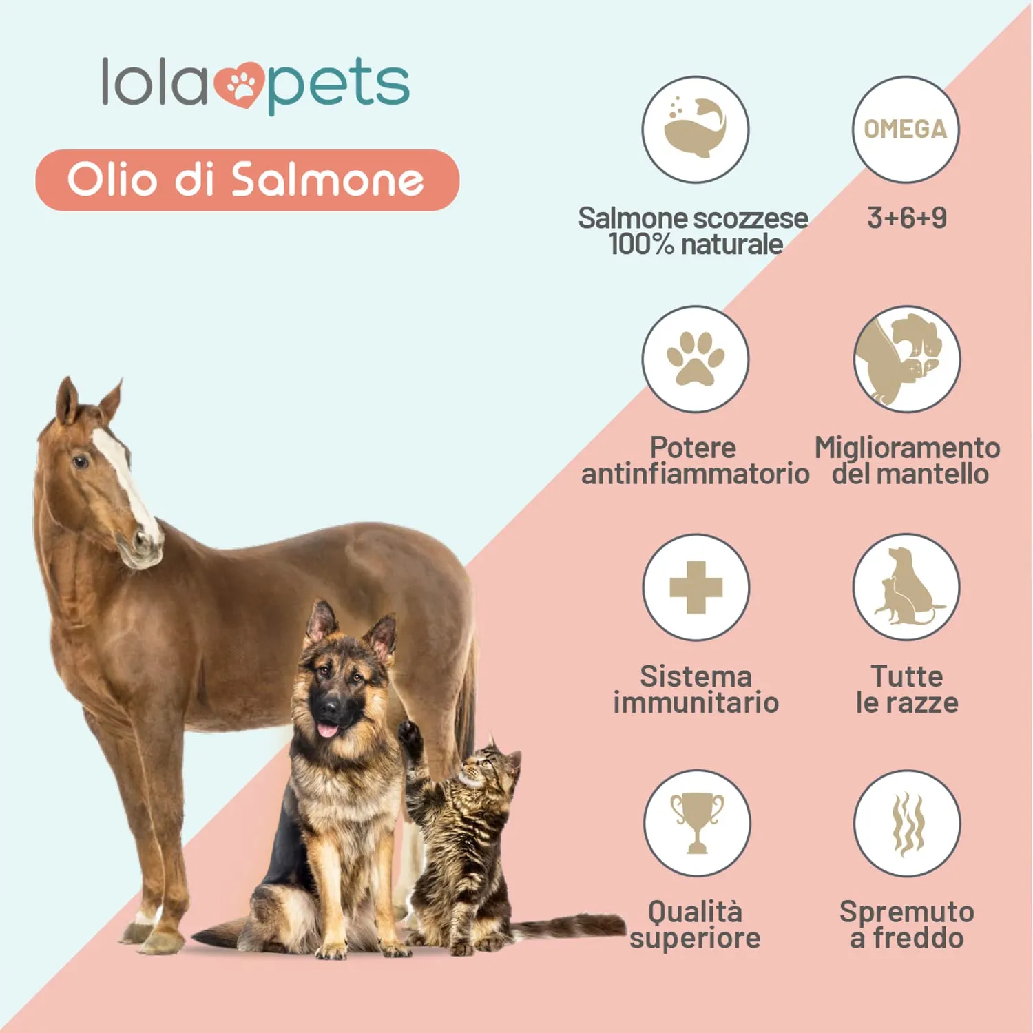 O³ Olio di Salmone Norvegese per Cani, Omega 3+6+9 e Vitamina E, 500ml - immagine 5