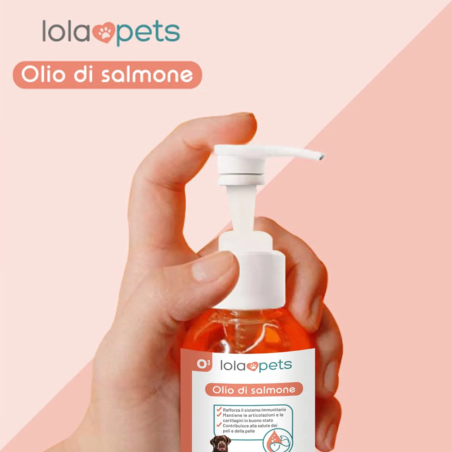 O³ Olio di Salmone Norvegese per Cani, Omega 3+6+9 e Vitamina E, 500ml - immagine 8