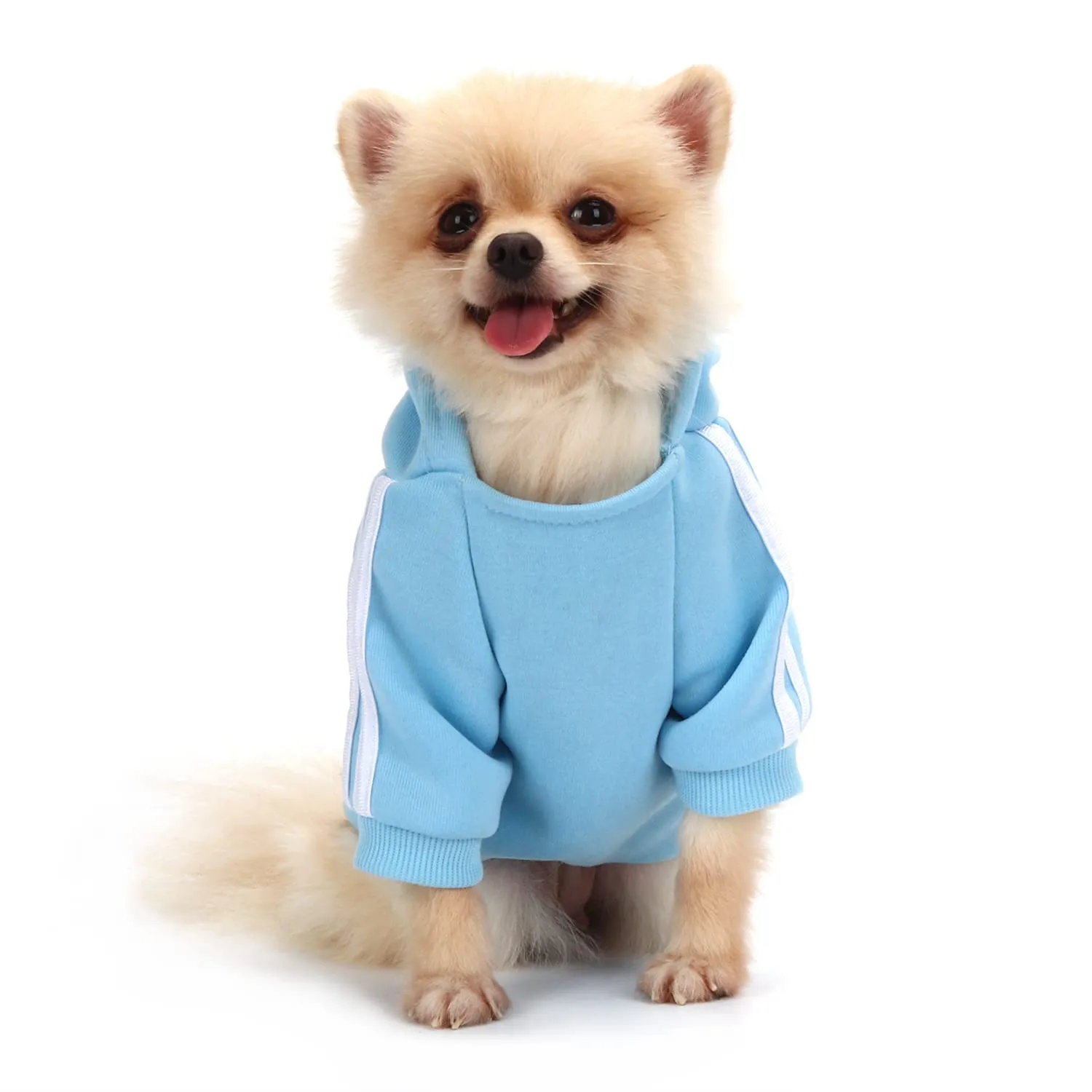 QiCheng&LYS Felpa per Cani, Blu, M - immagine 1