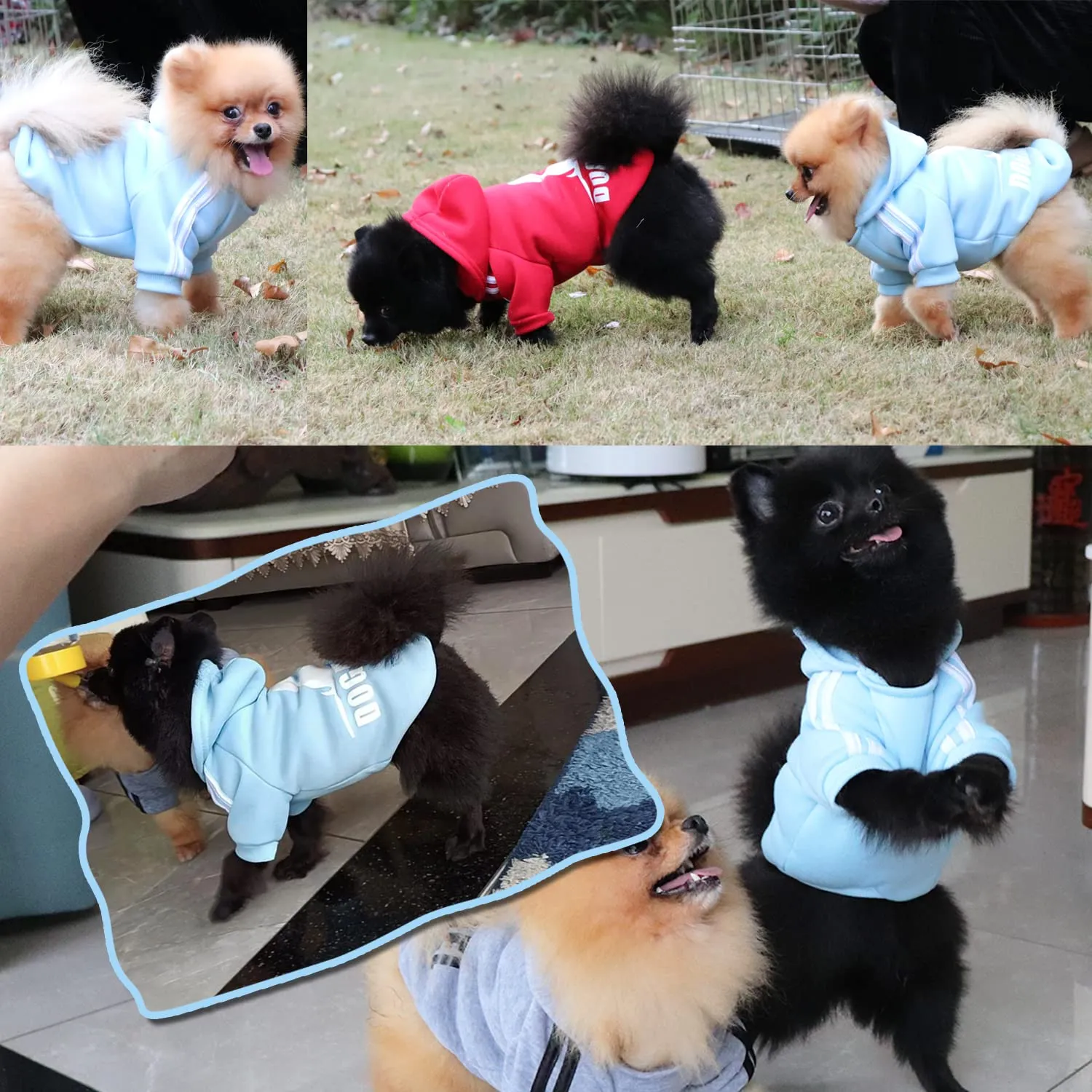 QiCheng&LYS Felpa per Cani, Blu, M - immagine 4