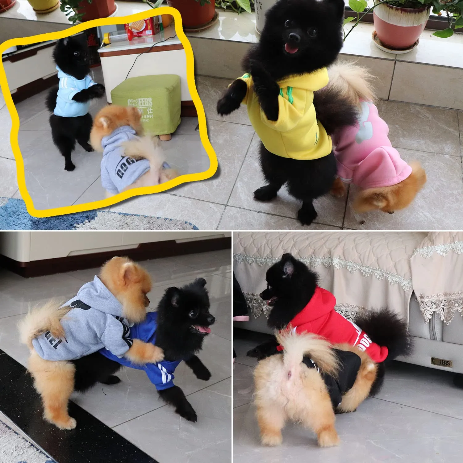 QiCheng&LYS Felpa per Cani, Cappotto Caldo per Animali Domestici (Grigio, XS) - immagine 3