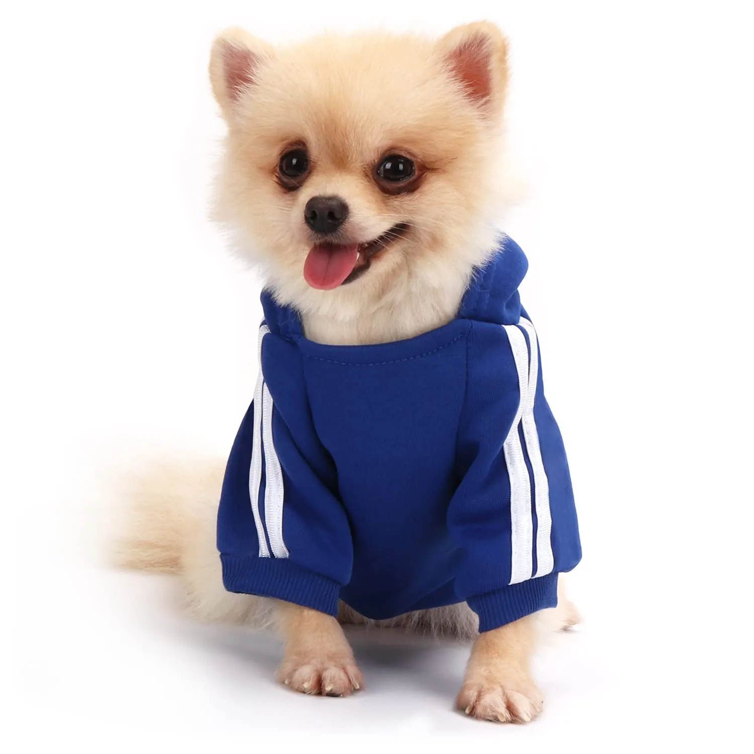 QiCheng&LYS Felpa per Cani Piccola Taglia, Blu navy, L - immagine 1