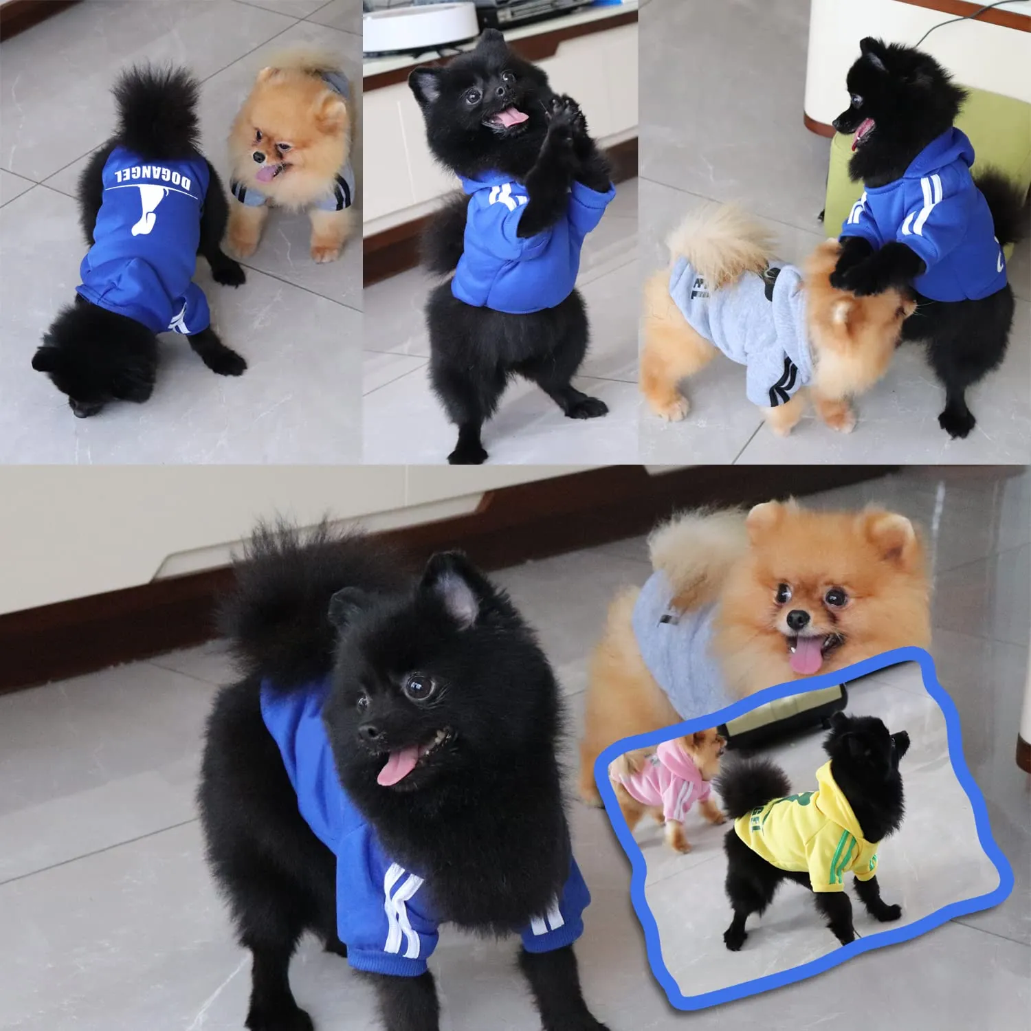 QiCheng&LYS Felpa per Cani Piccola Taglia, Blu navy, L - immagine 2
