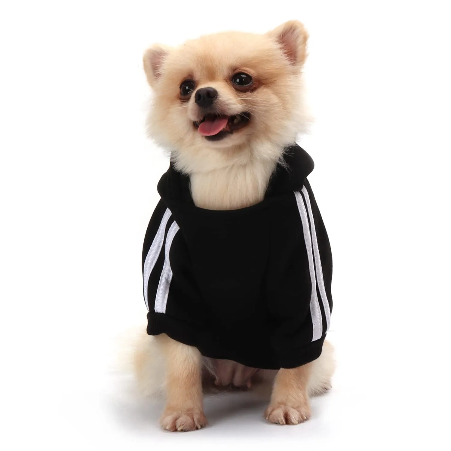 QiCheng&LYS Dog Winter Hoodie Coat (Nero, XS) - immagine 1
