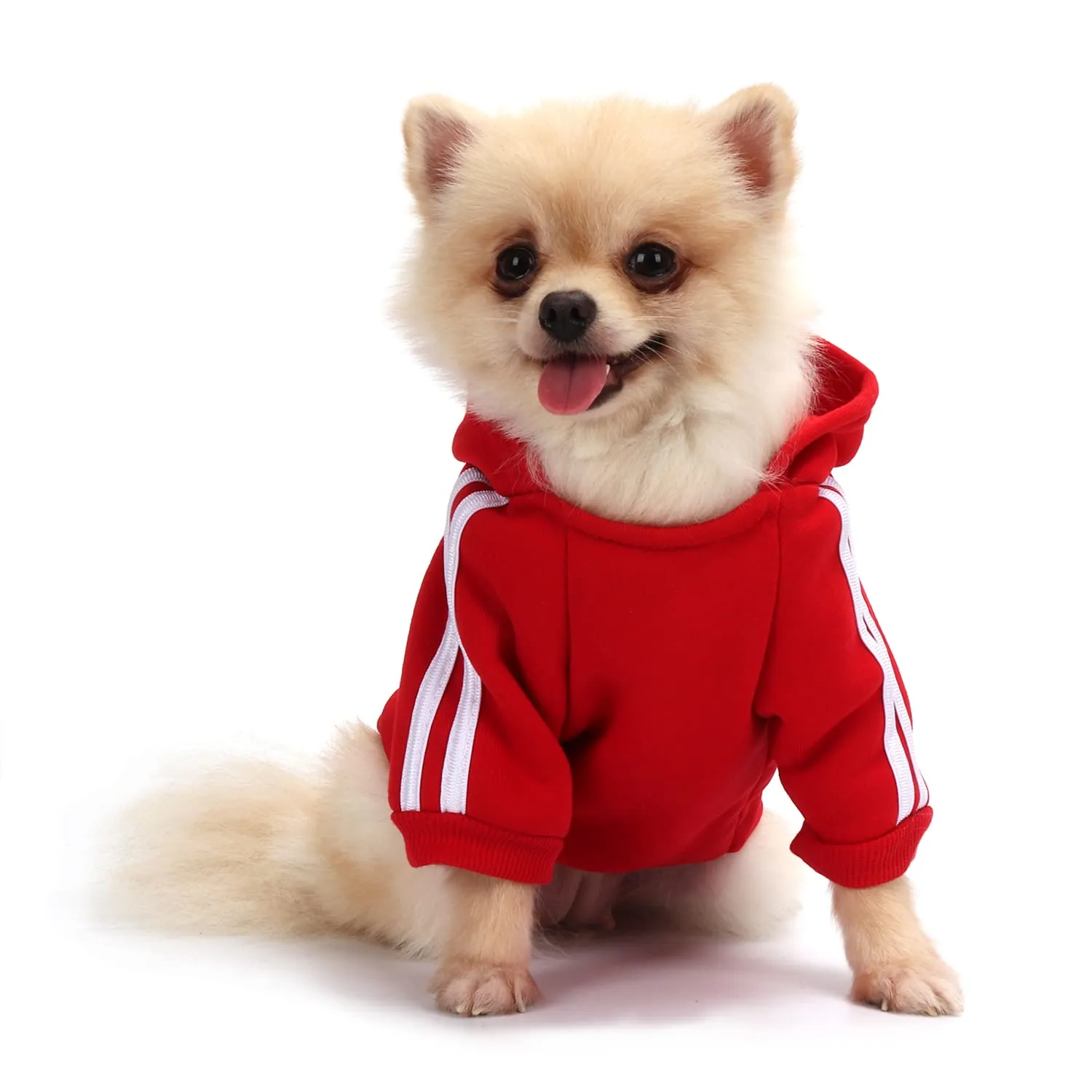 QiCheng&LYS Felpa per Cani, Rosso, XS - immagine 1