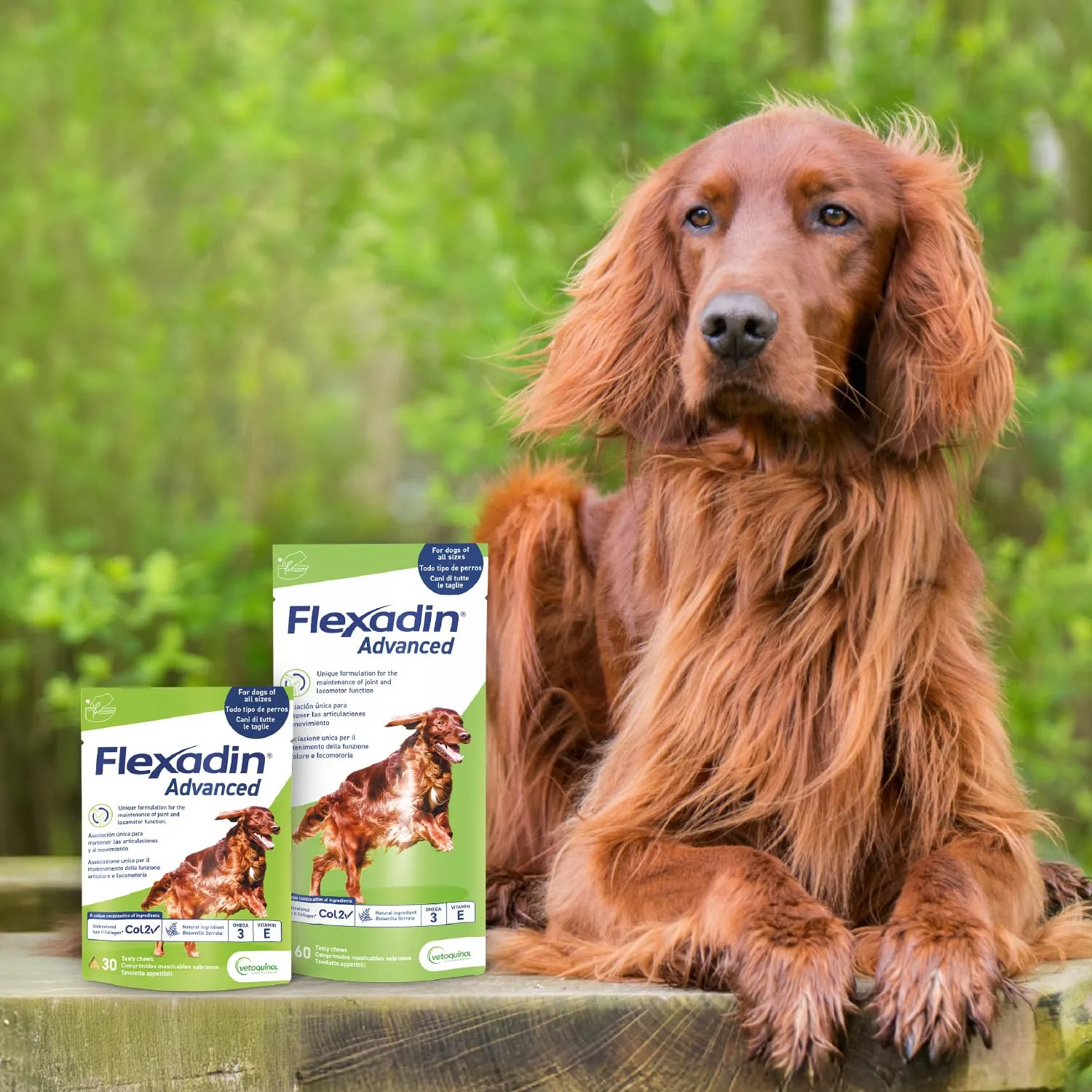Vetoquinol Flexadin Advanced Cane, Supporto Articolazioni, 60 Tavolette - immagine 4