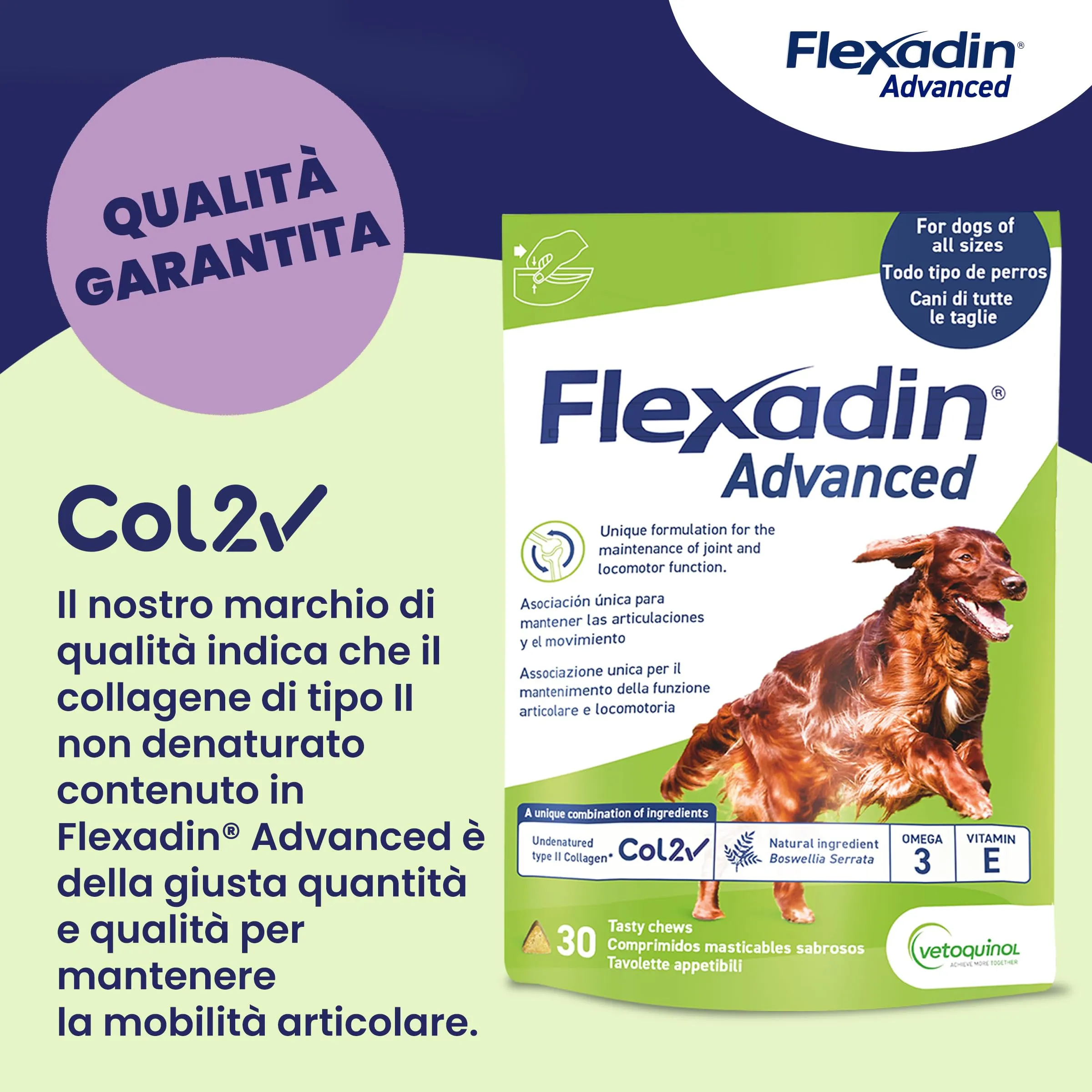 Vetoquinol Flexadin Advanced Cane, Supporto Articolazioni, 60 Tavolette - immagine 9
