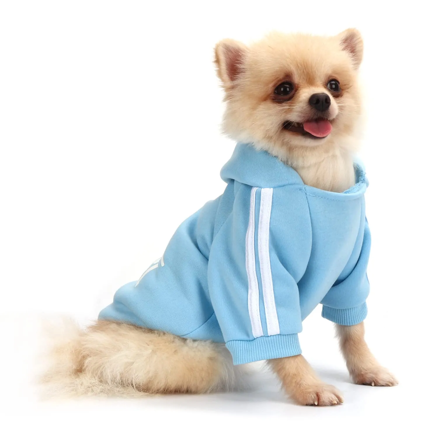 QiCheng&LYS Felpa per Cani, Blu, XS - immagine 1