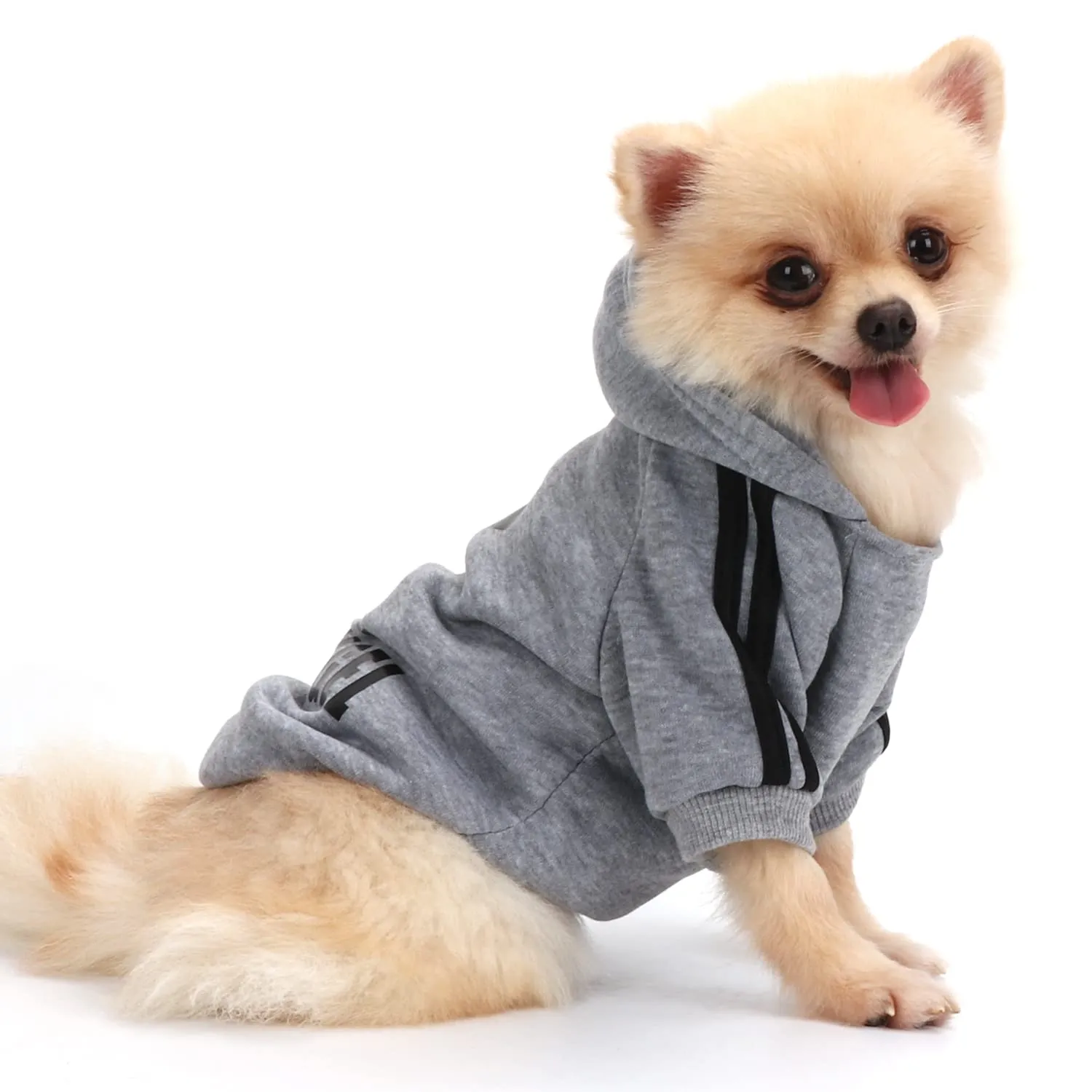 QiCheng&LYS Felpa per Cani, Grigio, S - immagine 1