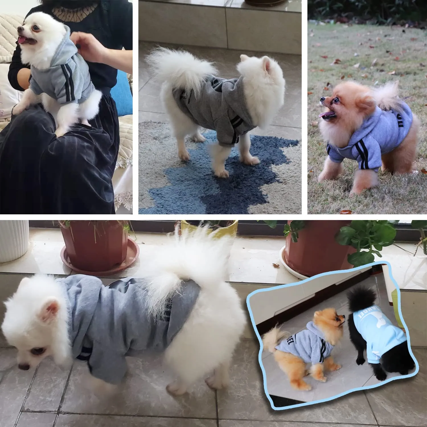 QiCheng&LYS Felpa per Cani, Grigio, S - immagine 6