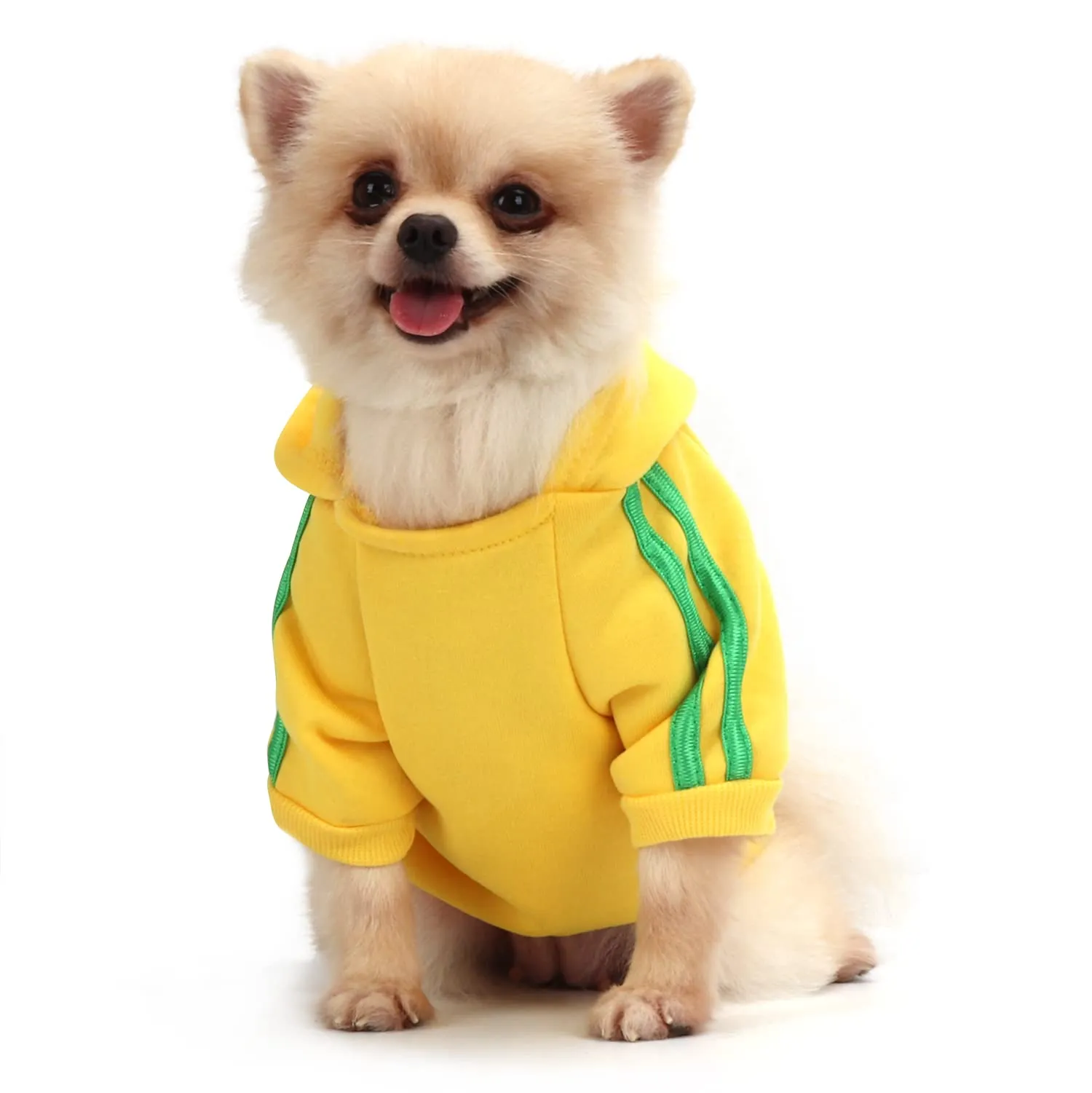 QiCheng&LYS Felpa per Cani Piccola Taglia, Giallo, S - immagine 1
