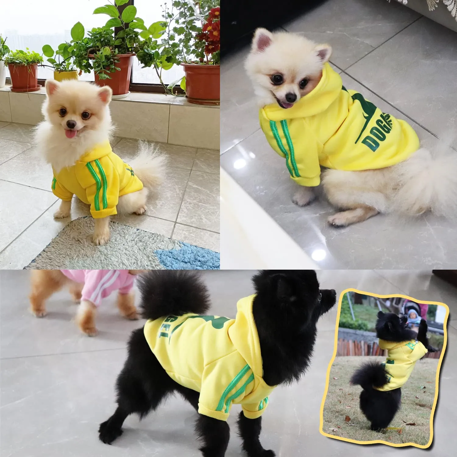 QiCheng&LYS Felpa per Cani Piccola Taglia, Giallo, S - immagine 5