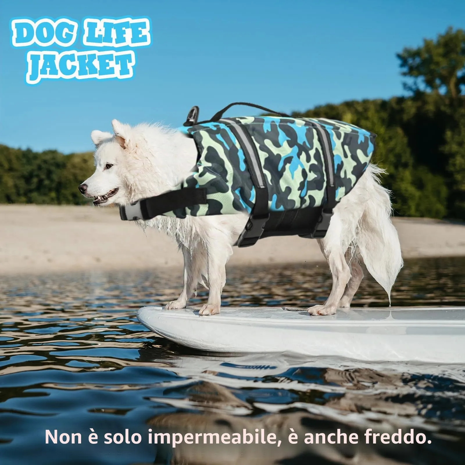 FainFun Giubbotto di Salvataggio per Cani, Blu C, L - immagine 6