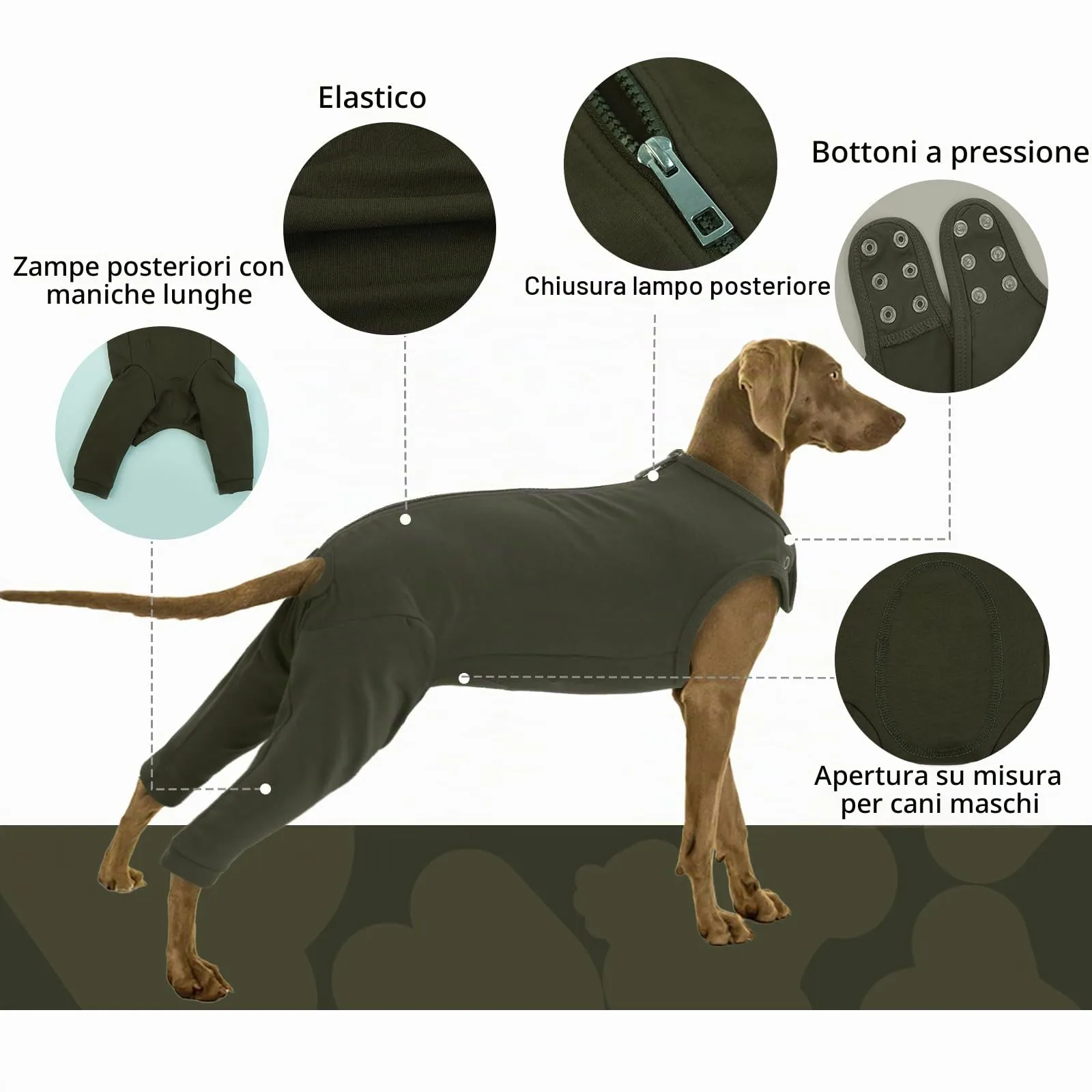 PUMYPOREITY Tuta Post Operatoria per Cani, Protezione Gambe Posteriori e Sterilizzazione, Verde Muschio, 3XL - immagine 4