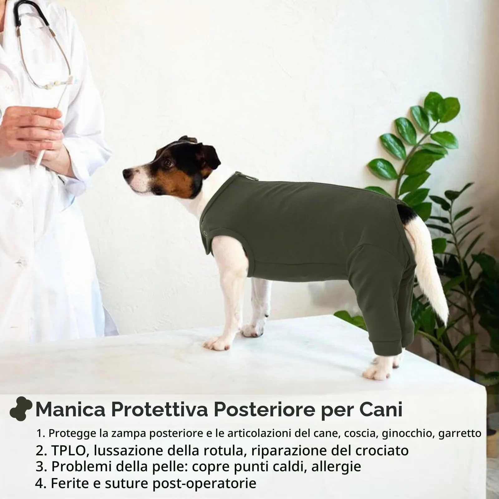 PUMYPOREITY Tuta Post Operatoria per Cani, Protezione Gambe Posteriori e Sterilizzazione, Verde Muschio, 3XL - immagine 5