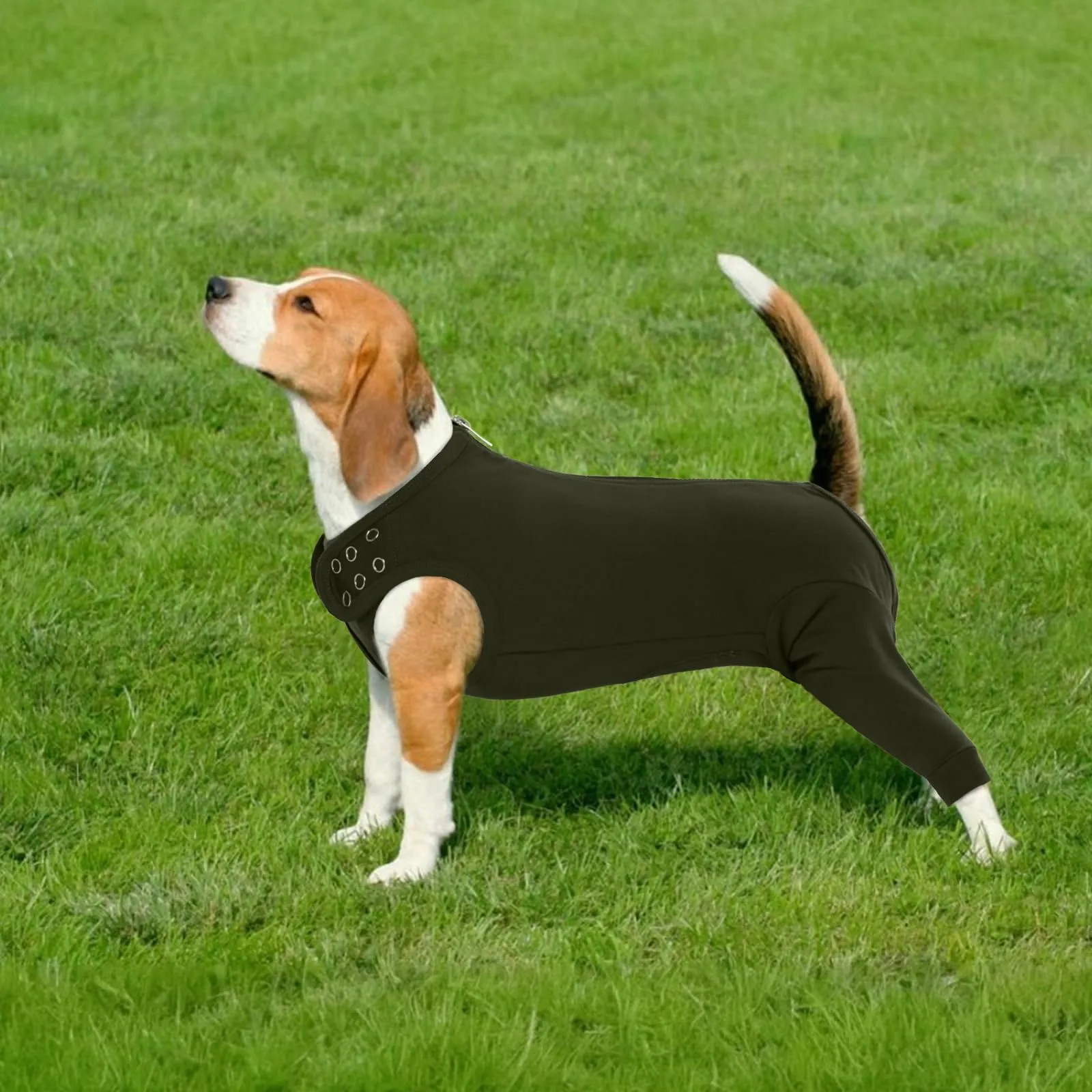 PUMYPOREITY Tuta Post Operatoria per Cani, Protettore Zampe Posteriori e Addome per Sterilizzazione e Recupero (Verde Muschio, 2XL) - immagine 7