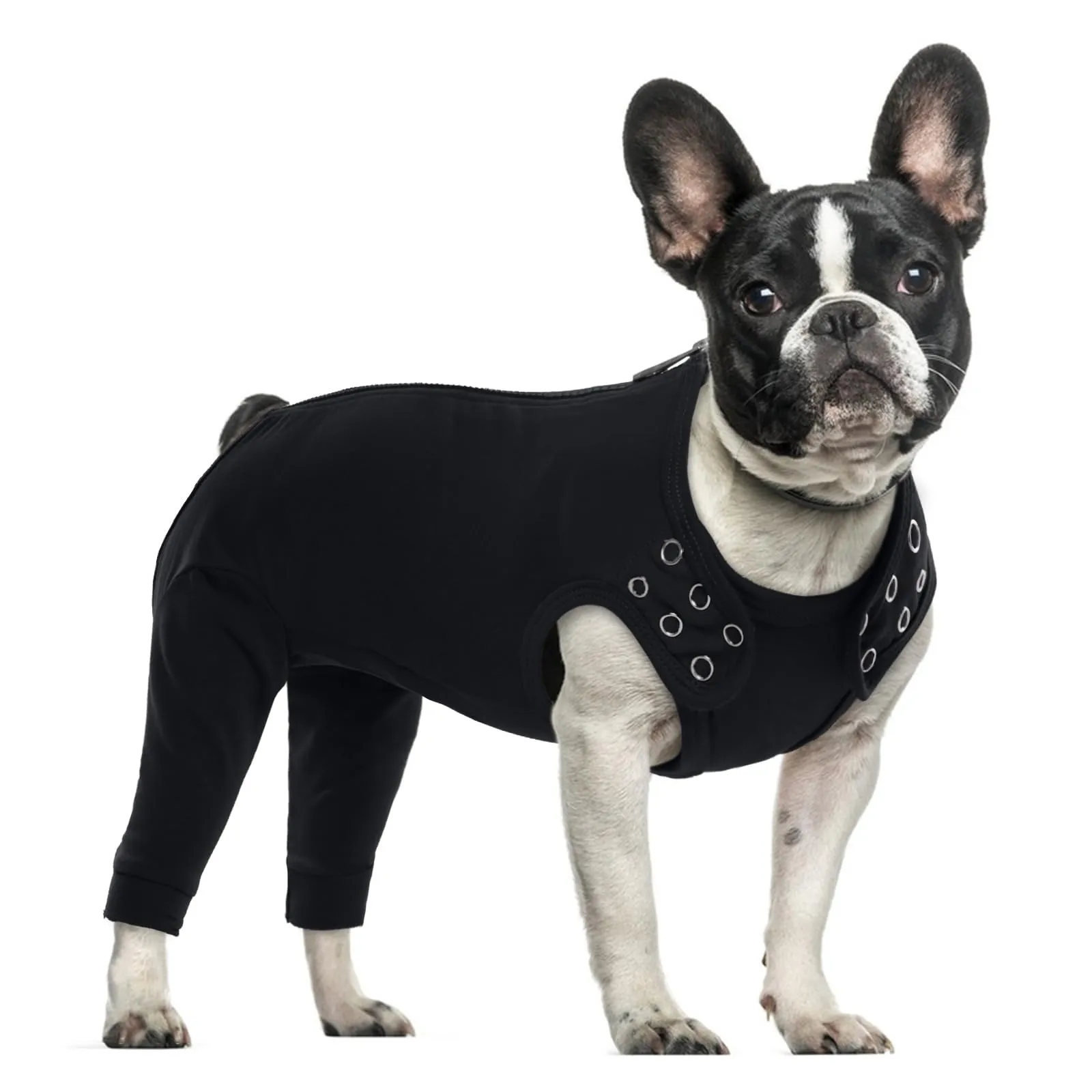 PUMYPOREITY Vestito Recupero Cani Tuta Post-Operatoria Body Protezione Ferite (Nero, S) - immagine 1