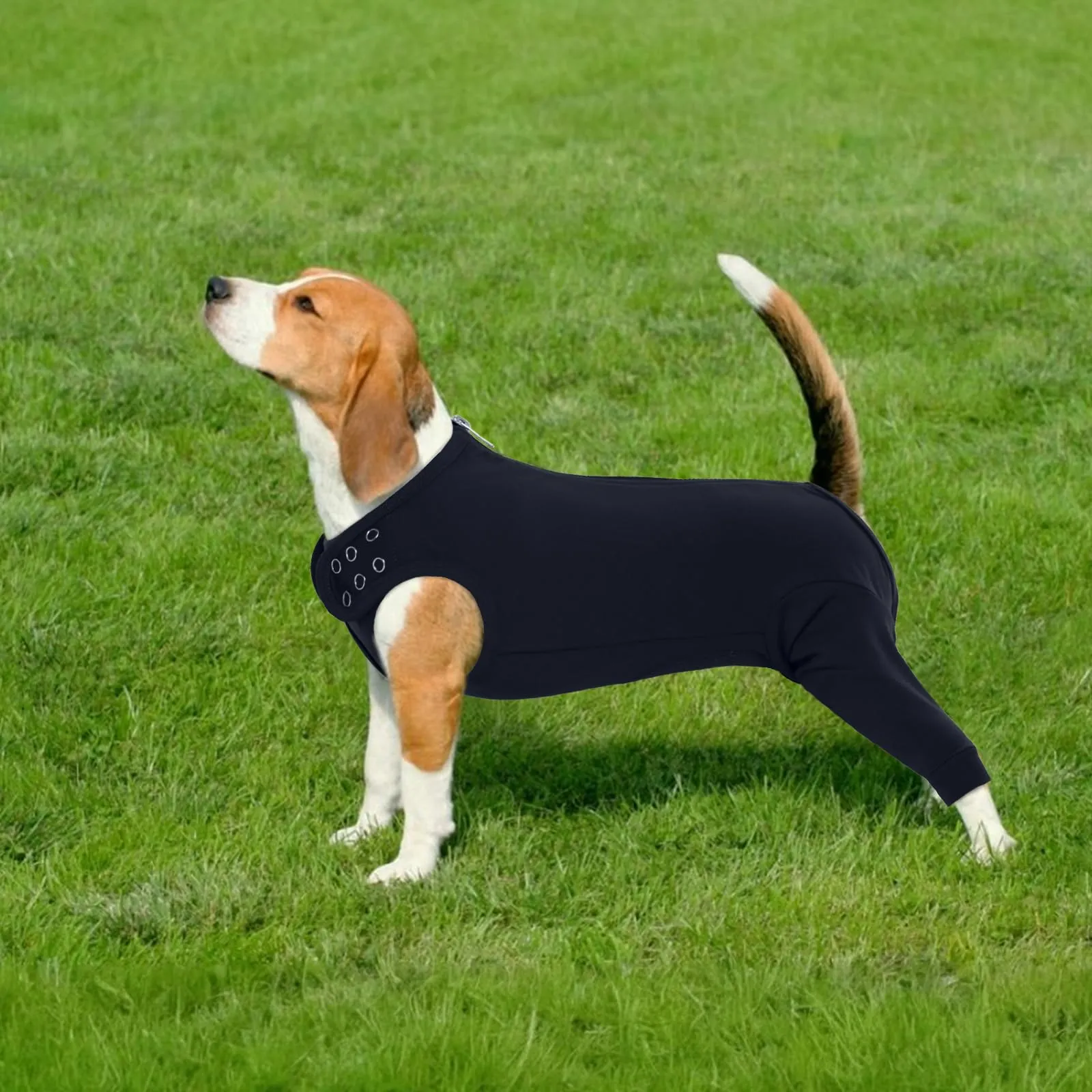 PUMYPOREITY Vestito Recupero Cani Tuta Post-Operatoria Body Protezione Ferite (Nero, S) - immagine 7