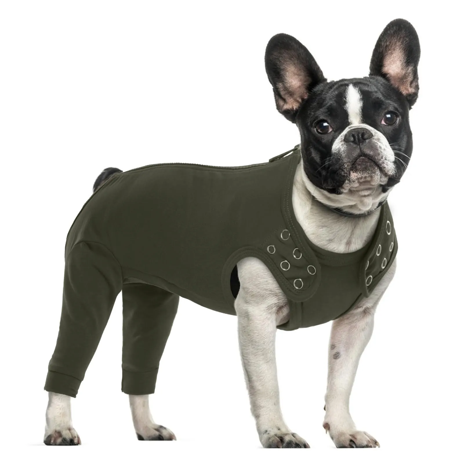 PUMYPOREITY Tuta Post Operatoria per Cani, Protezione Zampe Posteriori e Sterilizzazione, Verde Muschio, S - immagine 1