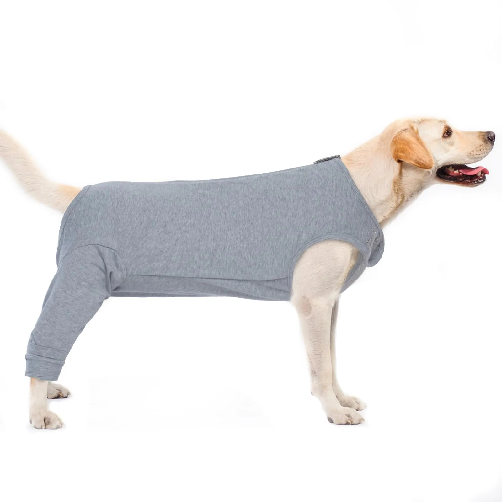 PUMYPOREITY Body Post Operatorio per Cane, Tuta Recupero Chirurgia Zampe Posteriori (Grigio, L) - immagine 1