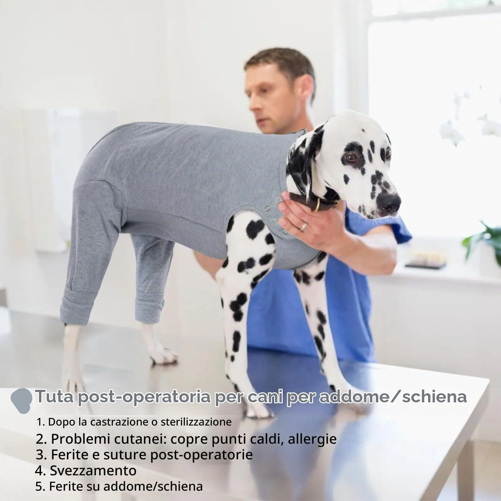 PUMYPOREITY Body Post Operatorio per Cane, Tuta Recupero Chirurgia Zampe Posteriori (Grigio, L) - immagine 6