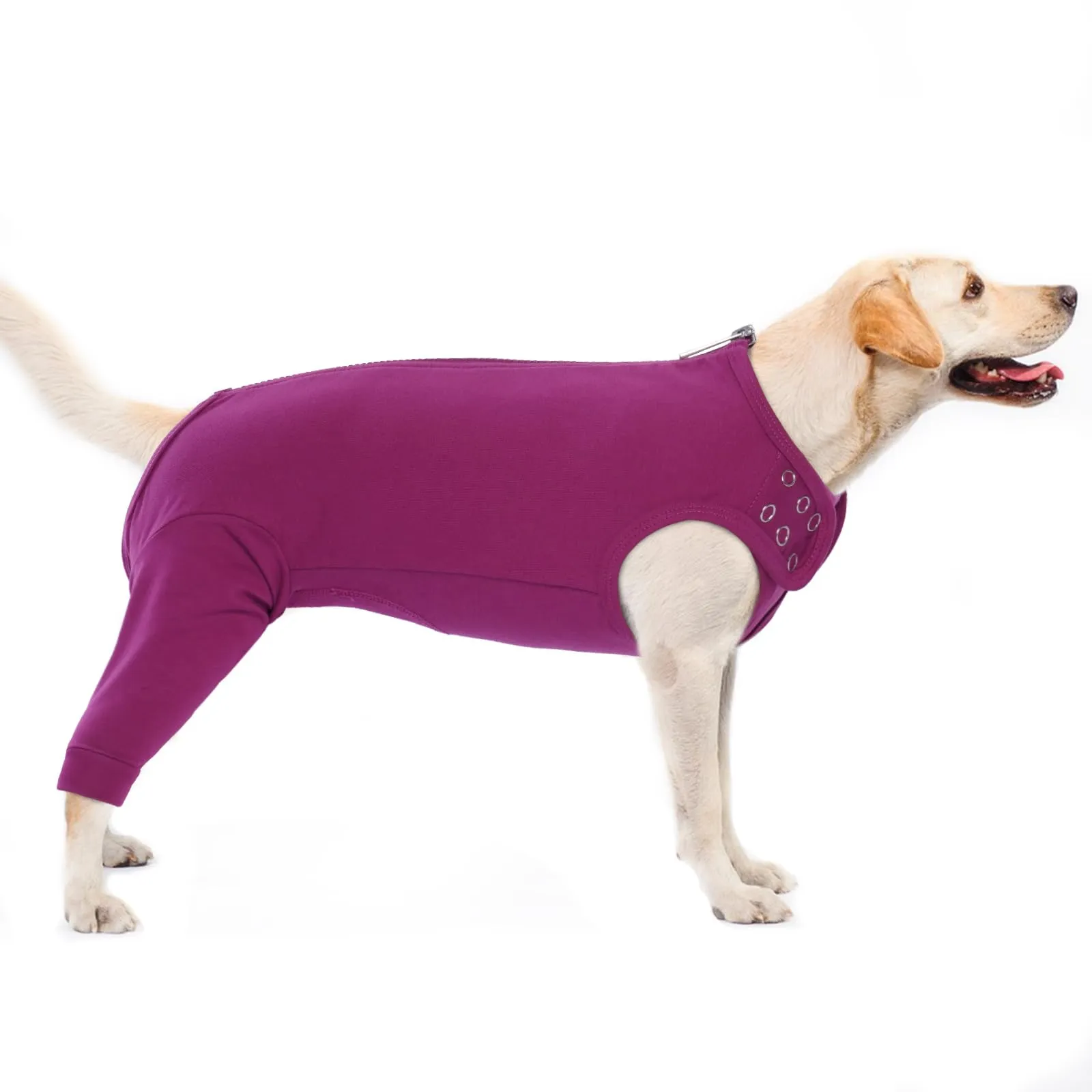 PUMYPOREITY Tuta Post Operatoria per Cani, Body Chirurgico Femmina Tutore Zampe Posteriori (Viola-Rosso, L) - immagine 1