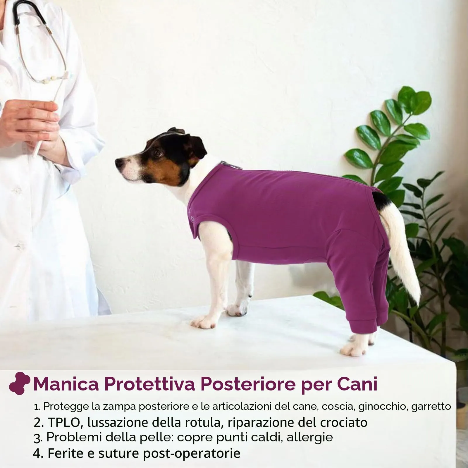 PUMYPOREITY Tuta Post Operatoria per Cani, Body Chirurgico Femmina Tutore Zampe Posteriori (Viola-Rosso, L) - immagine 5