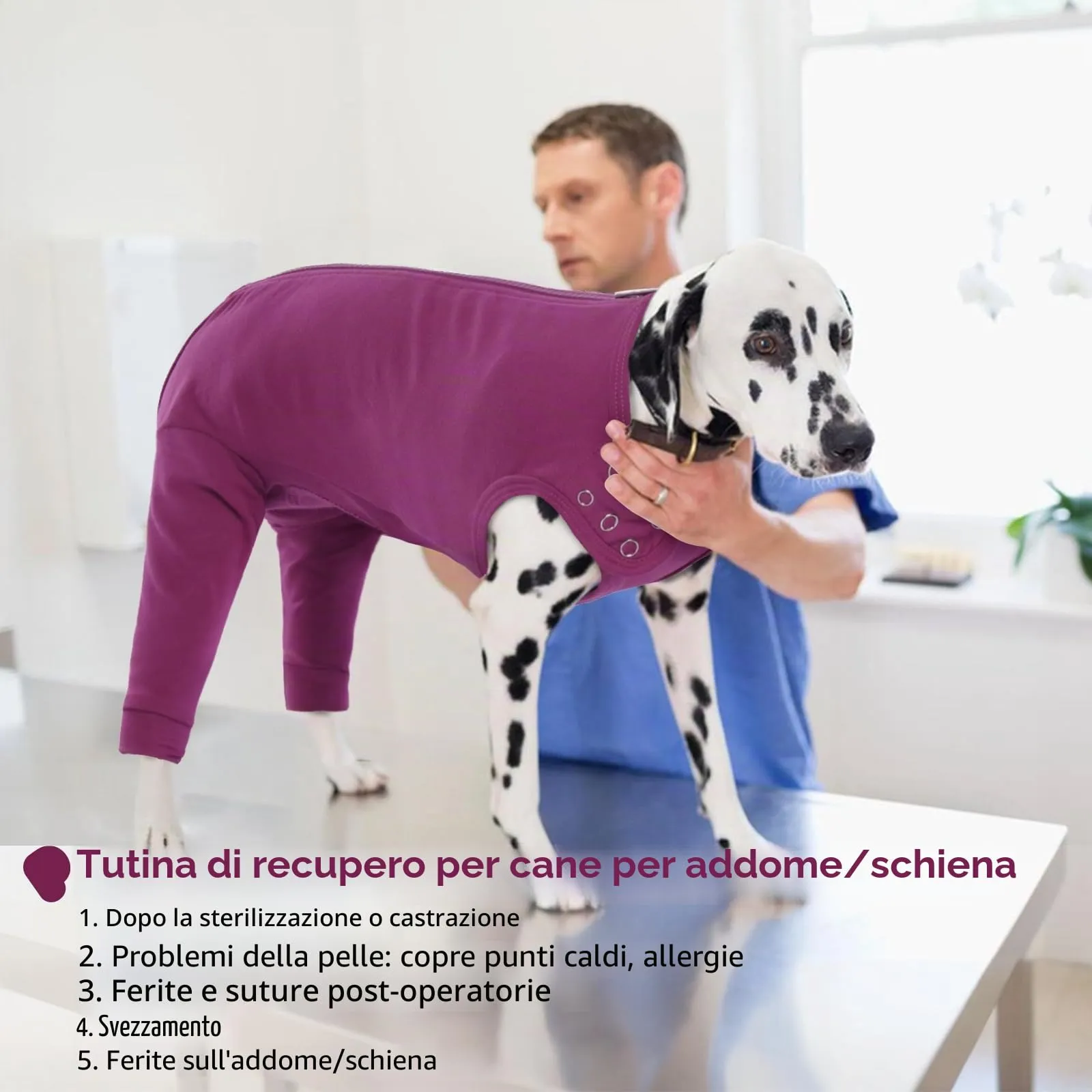 PUMYPOREITY Tuta Post Operatoria per Cani, Body Chirurgico Femmina Tutore Zampe Posteriori (Viola-Rosso, L) - immagine 6