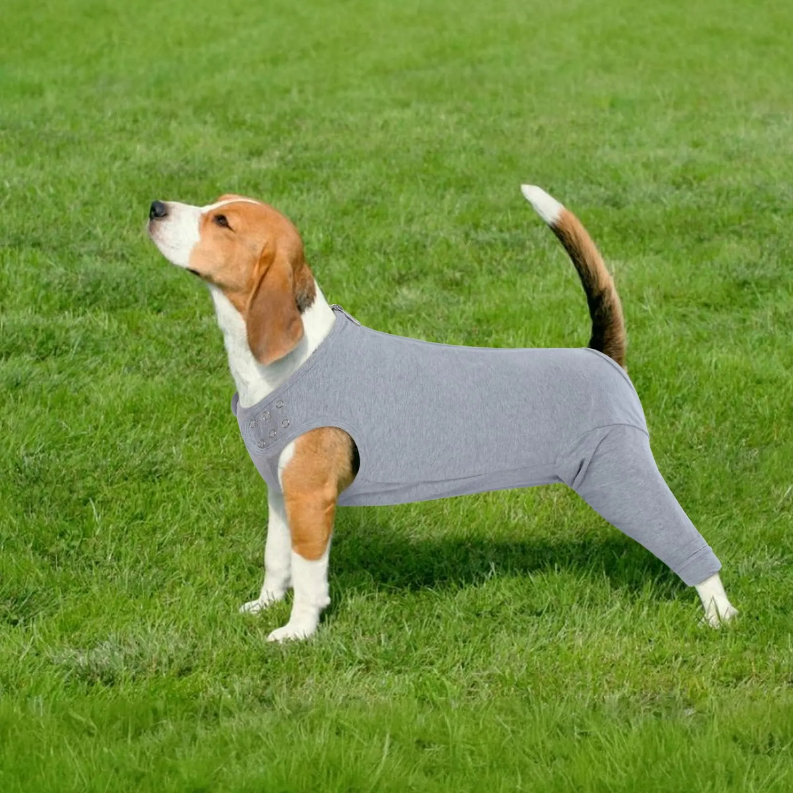 PUMYPOREITY Tutina di recupero post-chirurgico per cani di piccola taglia, gilet protettivo per gomito e zampe, Taglia S, Grigio - immagine 7