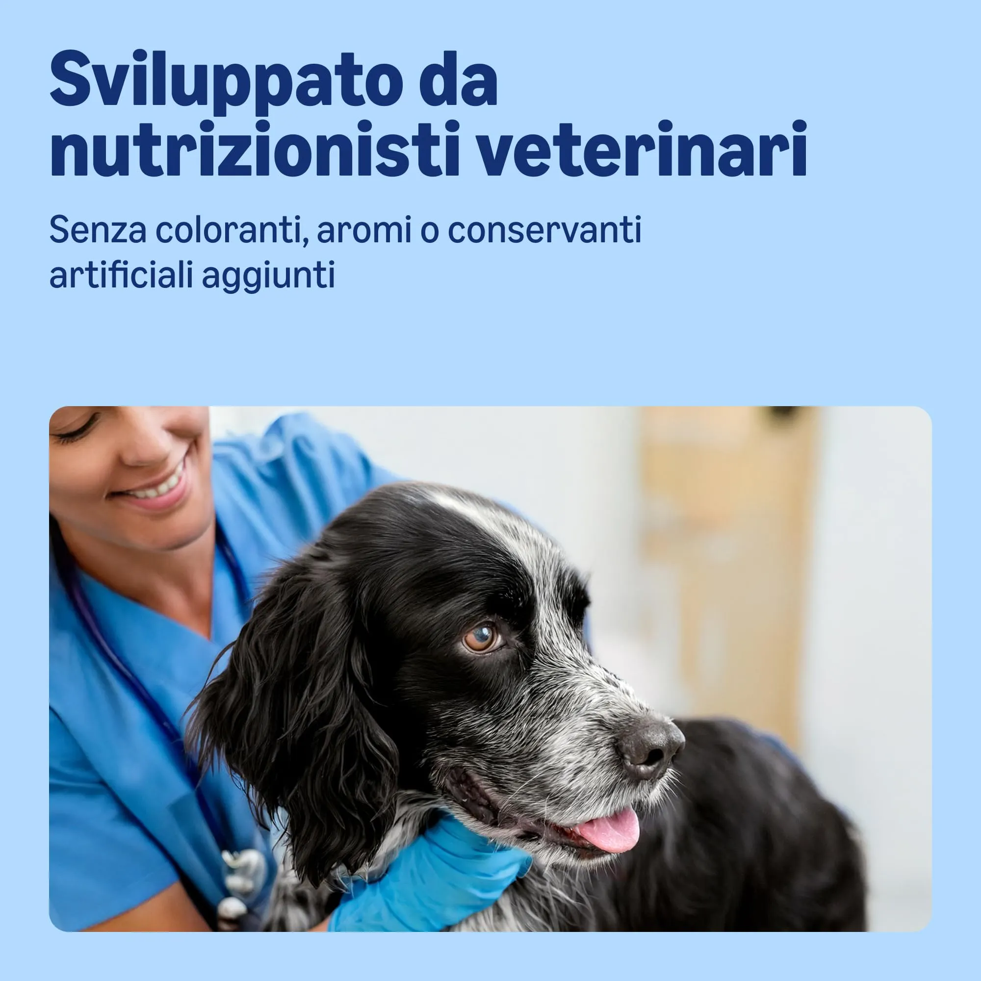 by Amazon Cibo Umido per Cani Paté di Selvaggina, 300g, Confezione da 10 - immagine 4