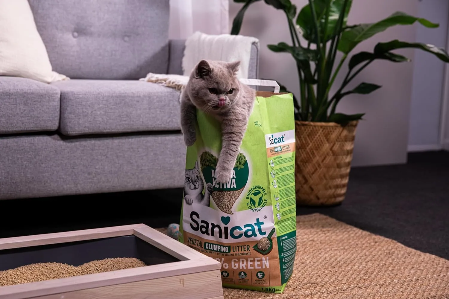 Sanicat Natura Activa 100% Green Lettiera Vegetale Agglomerante, 2,5 kg x 4 - immagine 4