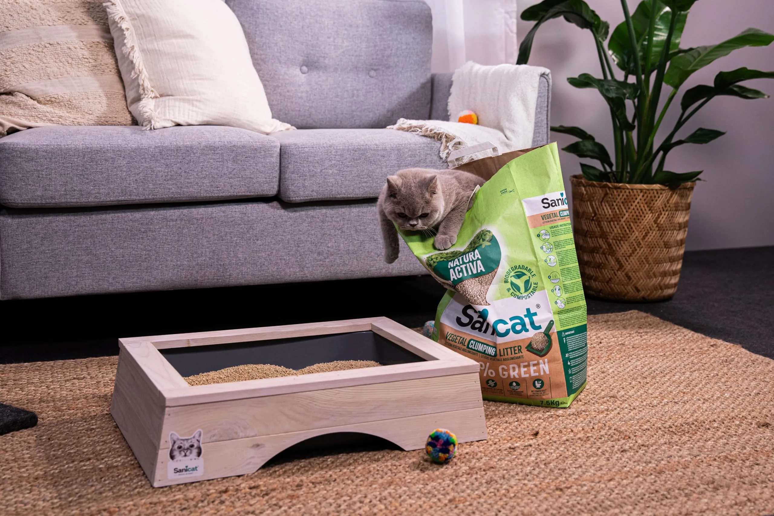 Sanicat Natura Activa 100% Green Lettiera Vegetale Agglomerante, 2,5 kg x 4 - immagine 8