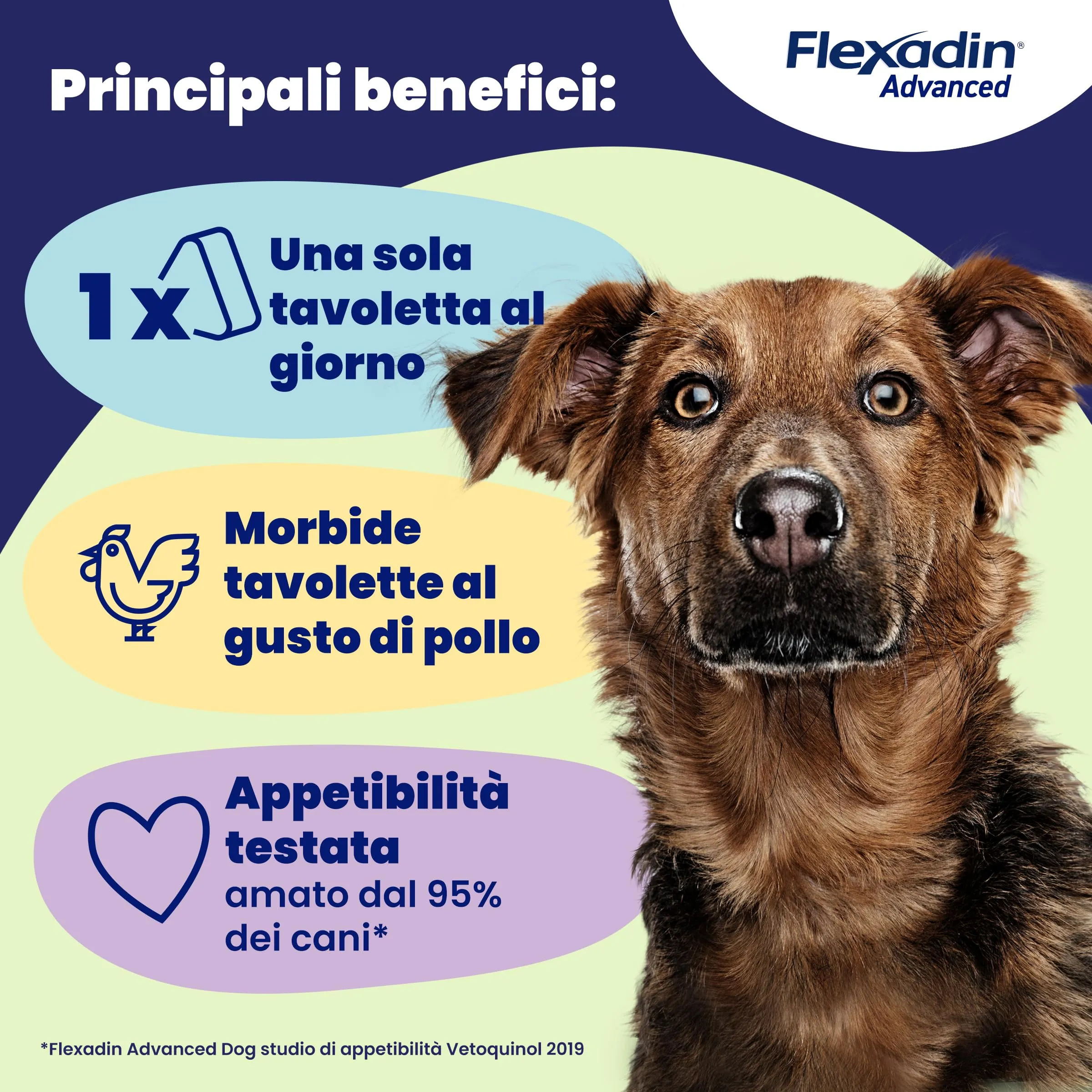 Vetoquinol Flexadin Advanced Cane, 30 Tavolette - immagine 6