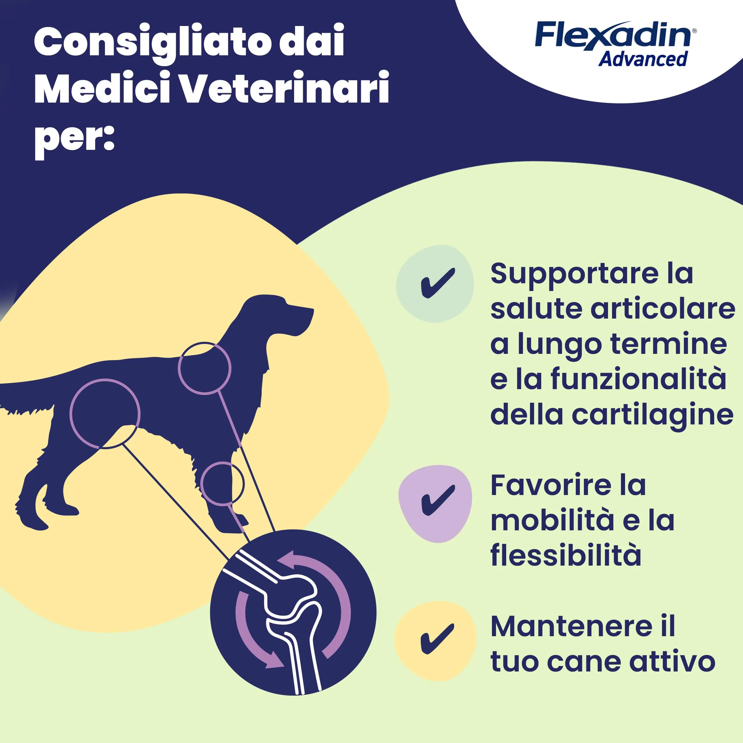 Vetoquinol Flexadin Advanced Cane, 30 Tavolette - immagine 8