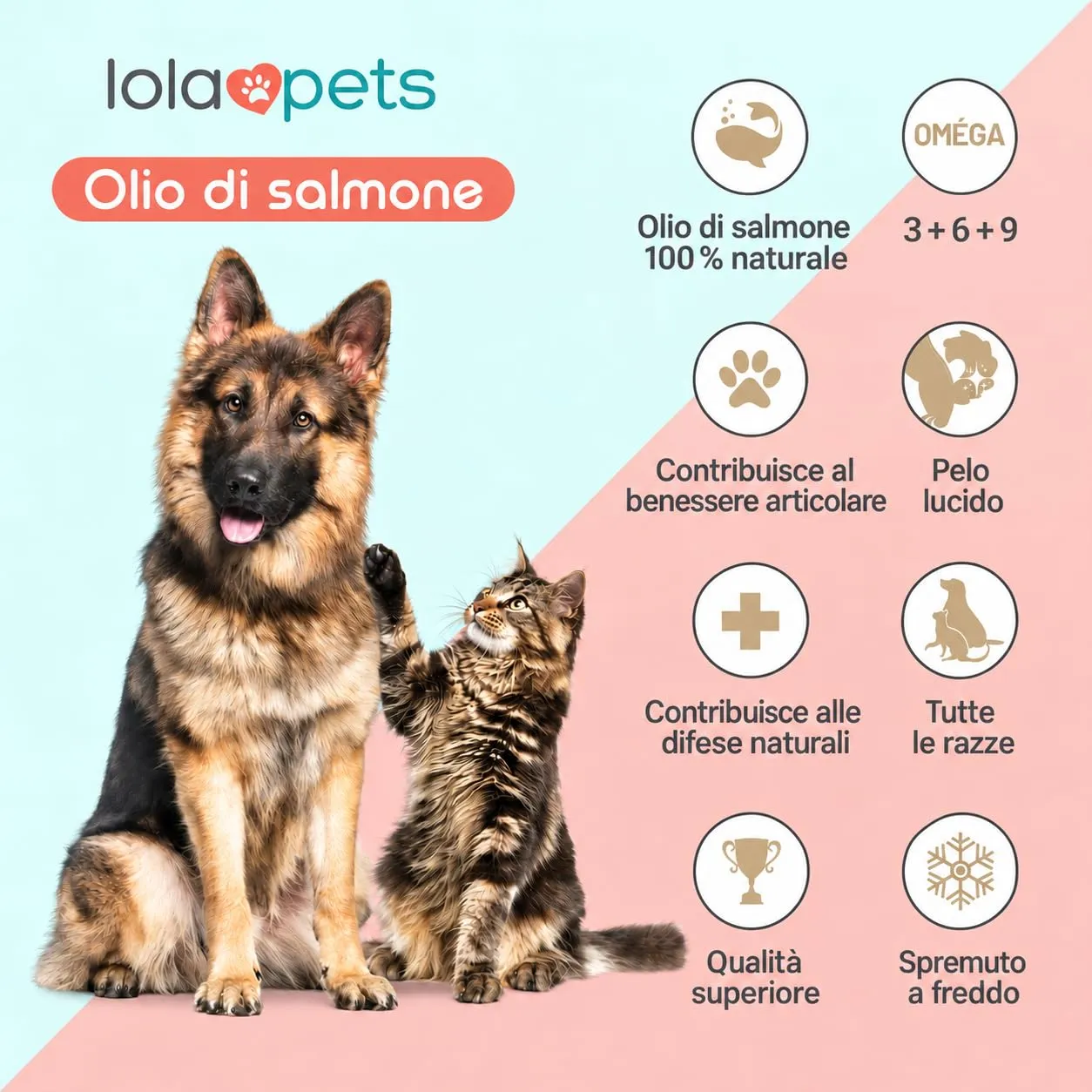 O³ Olio di Salmone Norvegese per Cani e Gatti, Omega 3+6+9 e Vitamina E, 1L - immagine 4