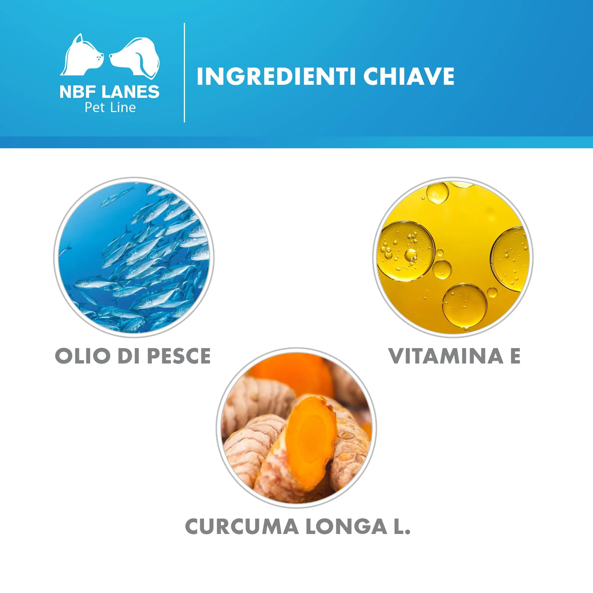 NBF Lanes Artikrill Cane, 200 Perle, Supporto Metabolismo Articolare per Cani Adulti e Senior - immagine 5